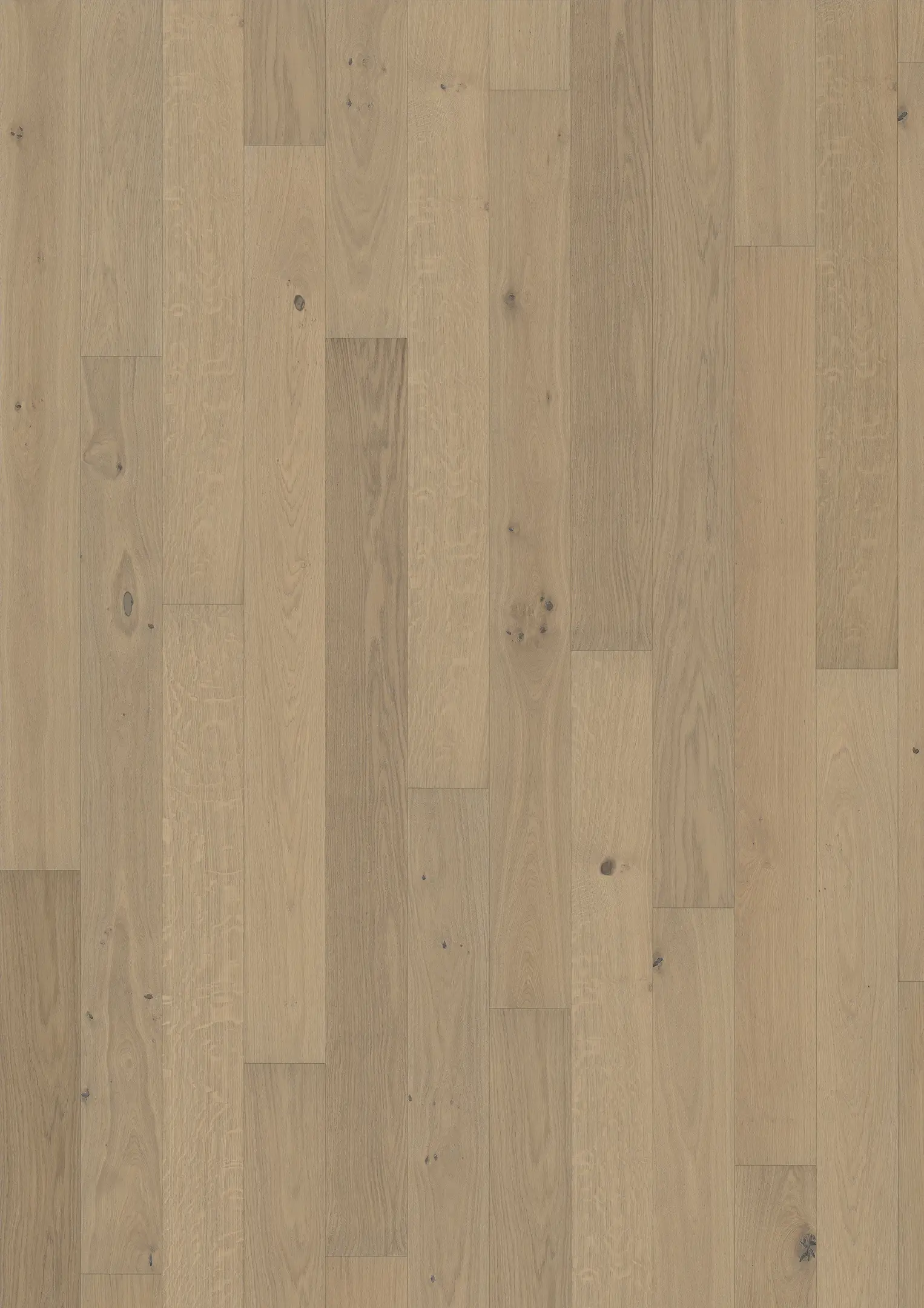 OAK NOUVEAU WHITE Floors Kährs