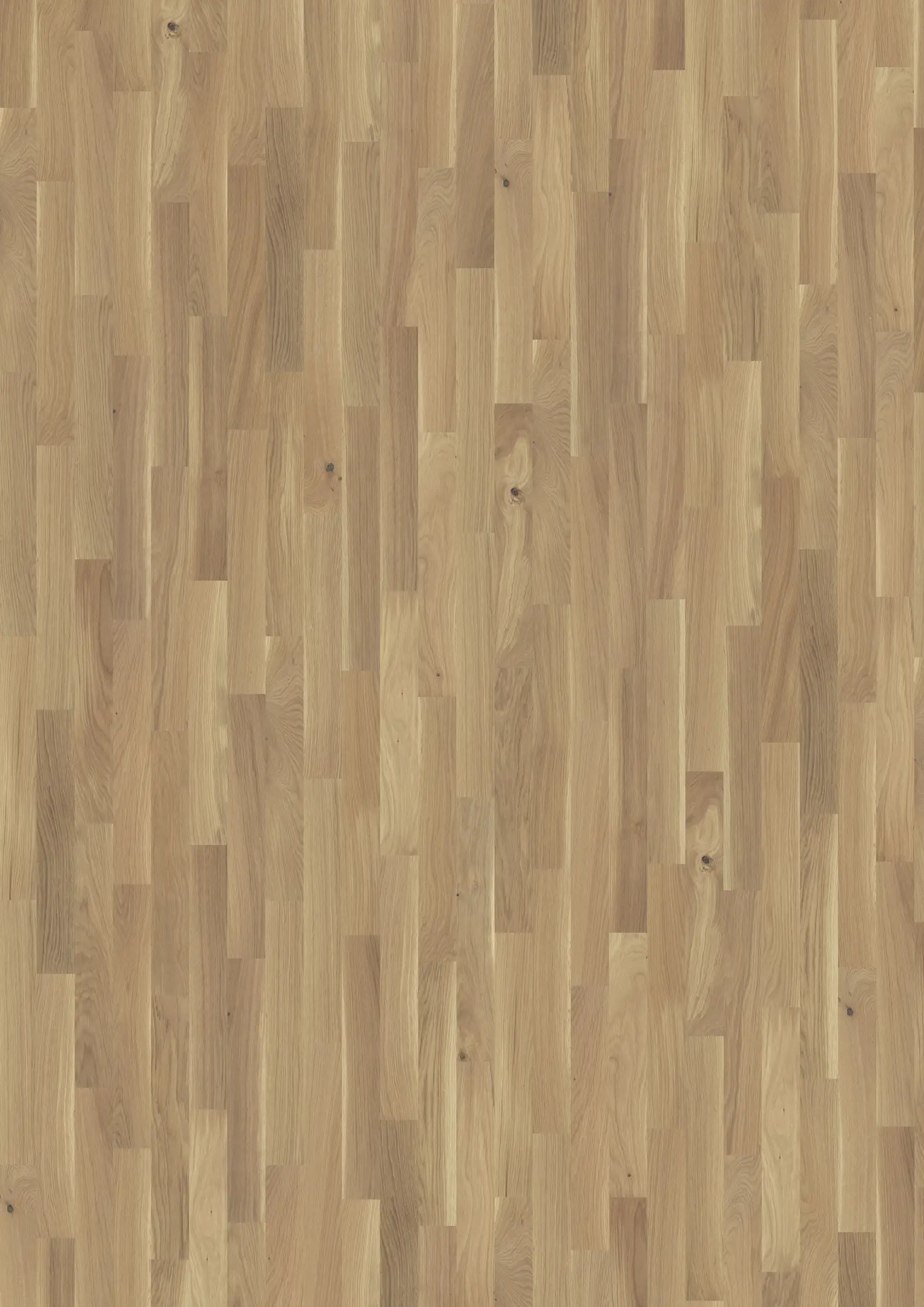 STUDIO EICHE CC WEIß 9 MM Alle Bodenbeläge Kährs