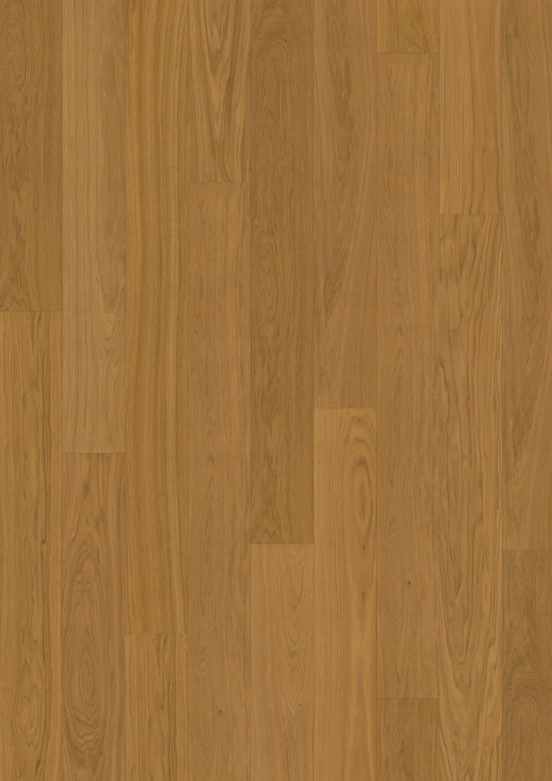 TAMMI CLOVES PLANK