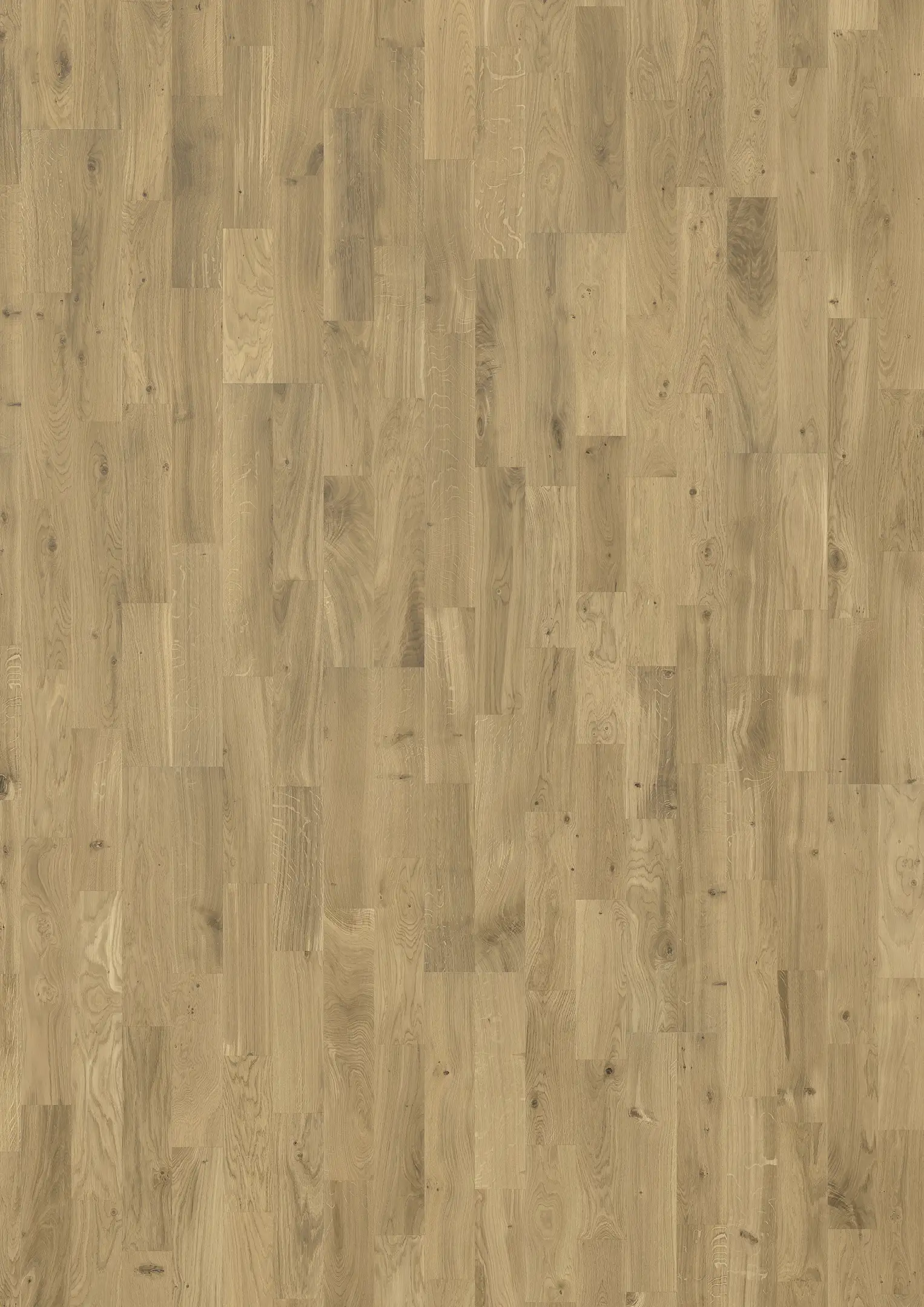 OAK SILK Samples Kährs