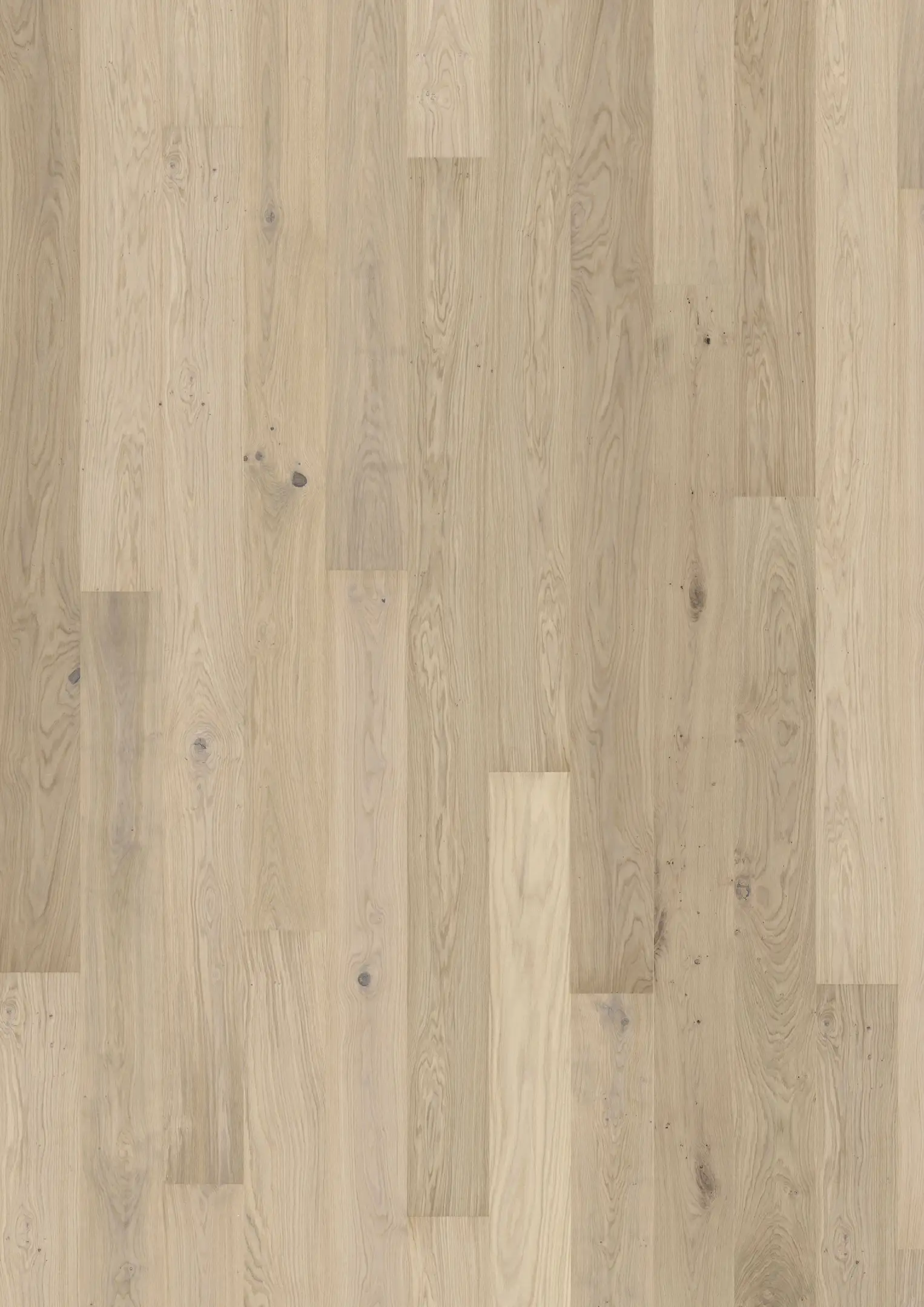 OAK HORIZON Samples Kährs