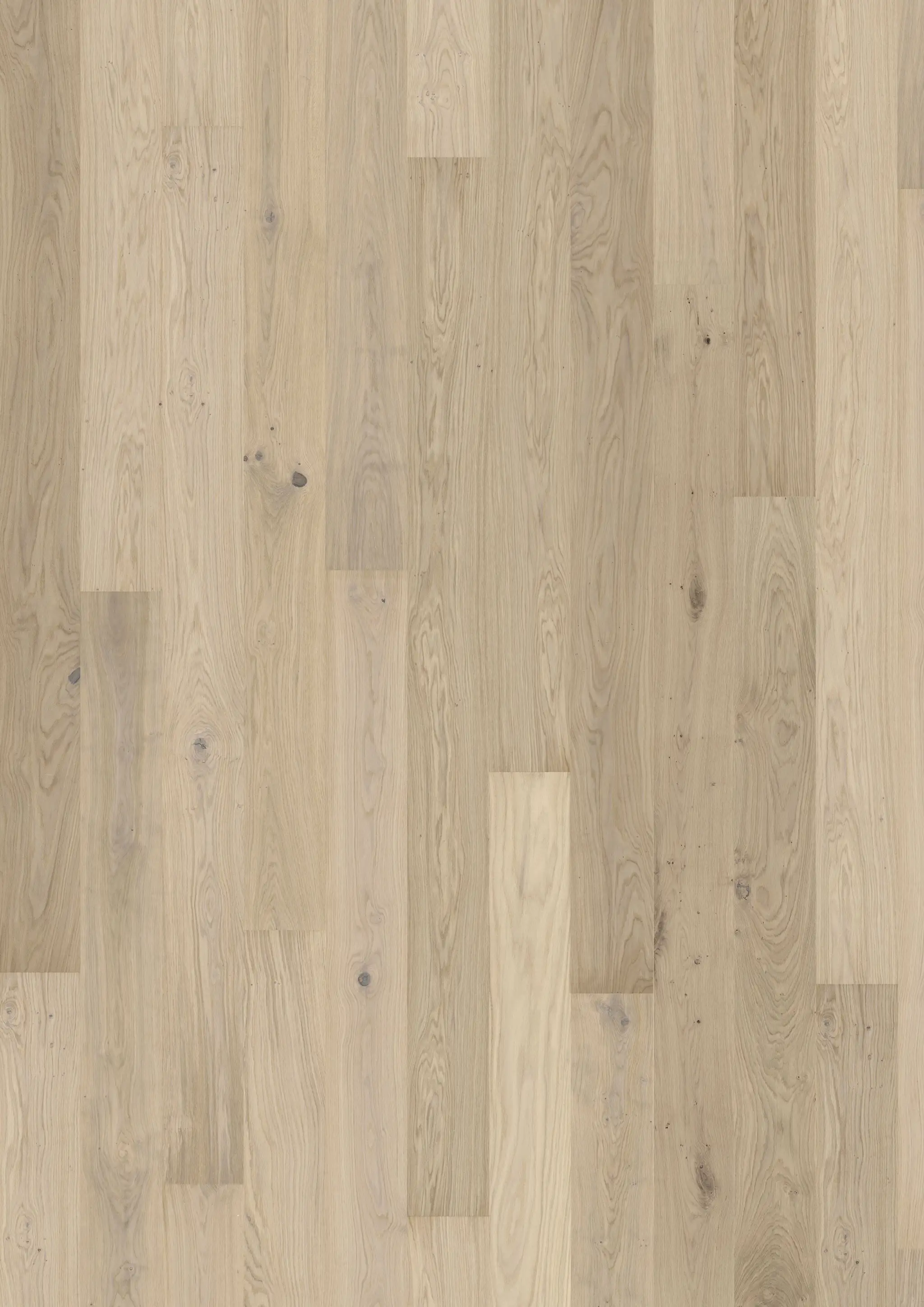 OAK HORIZON Samples Kährs