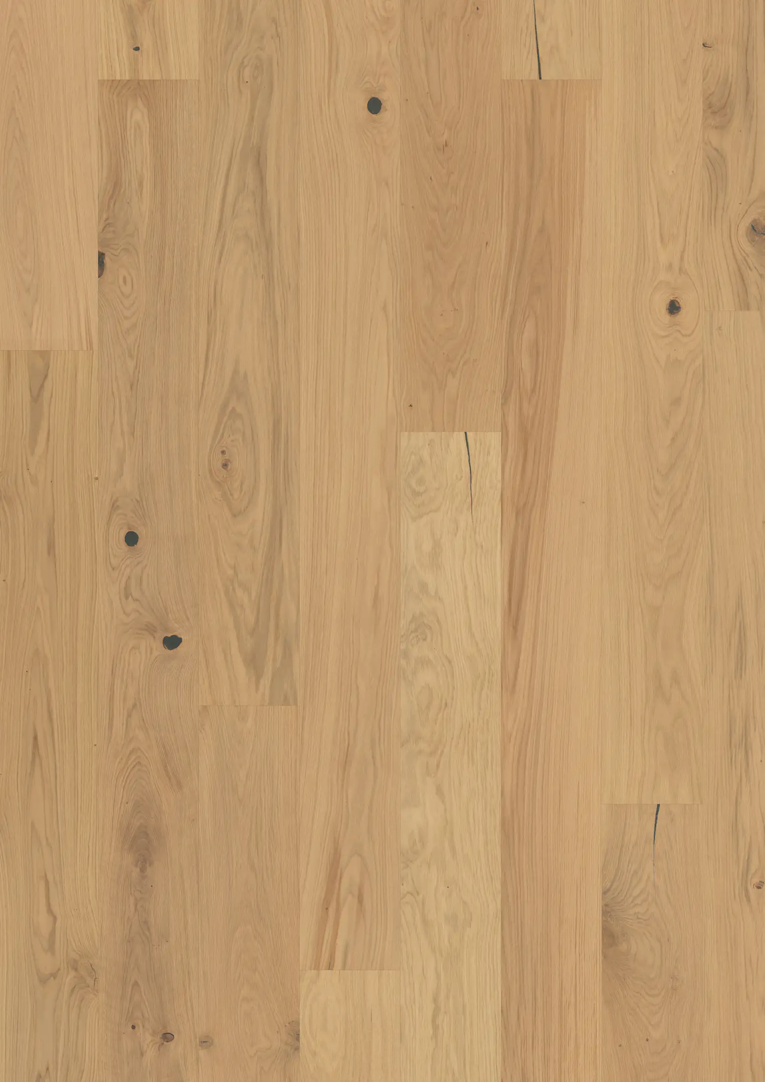 OAK LUPINE Samples Kährs