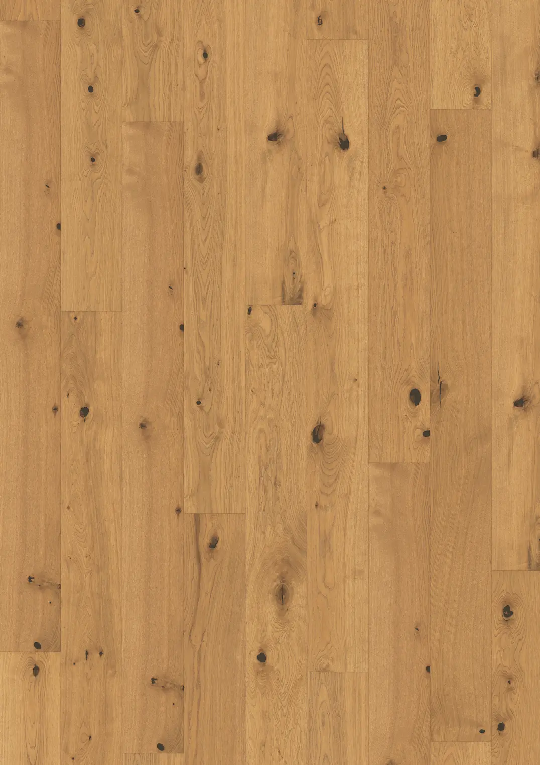 EK SESAME PLANK