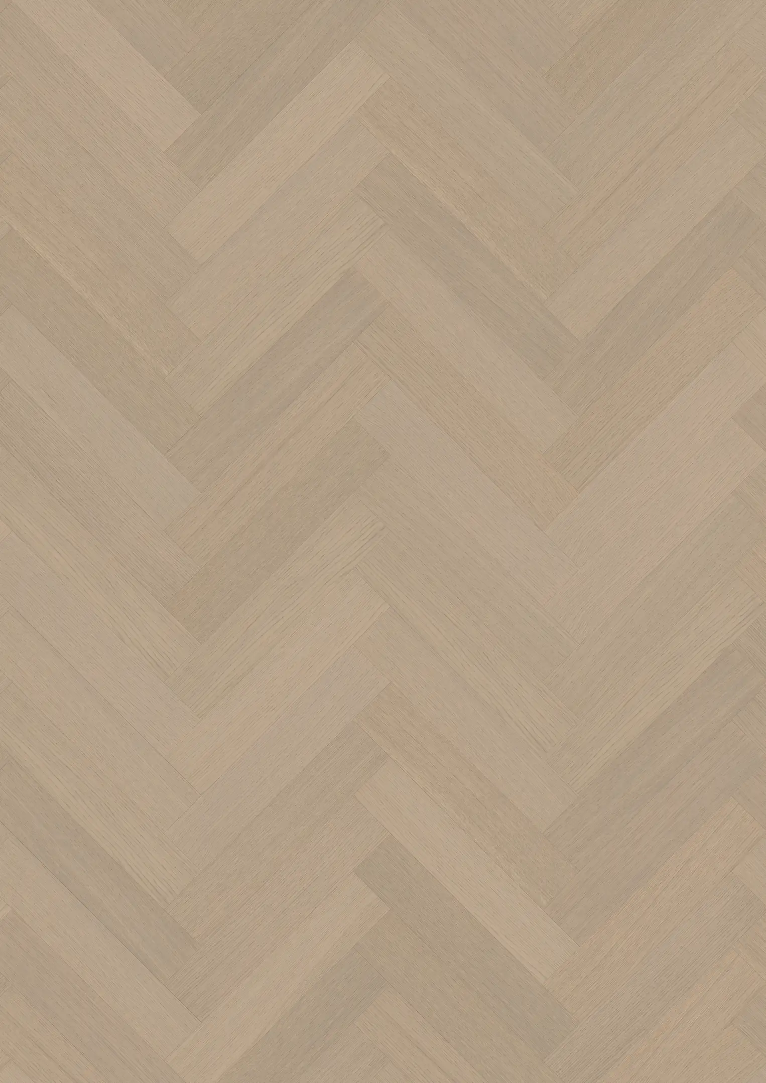 EG MINT SILDEBEN Gulve Kährs