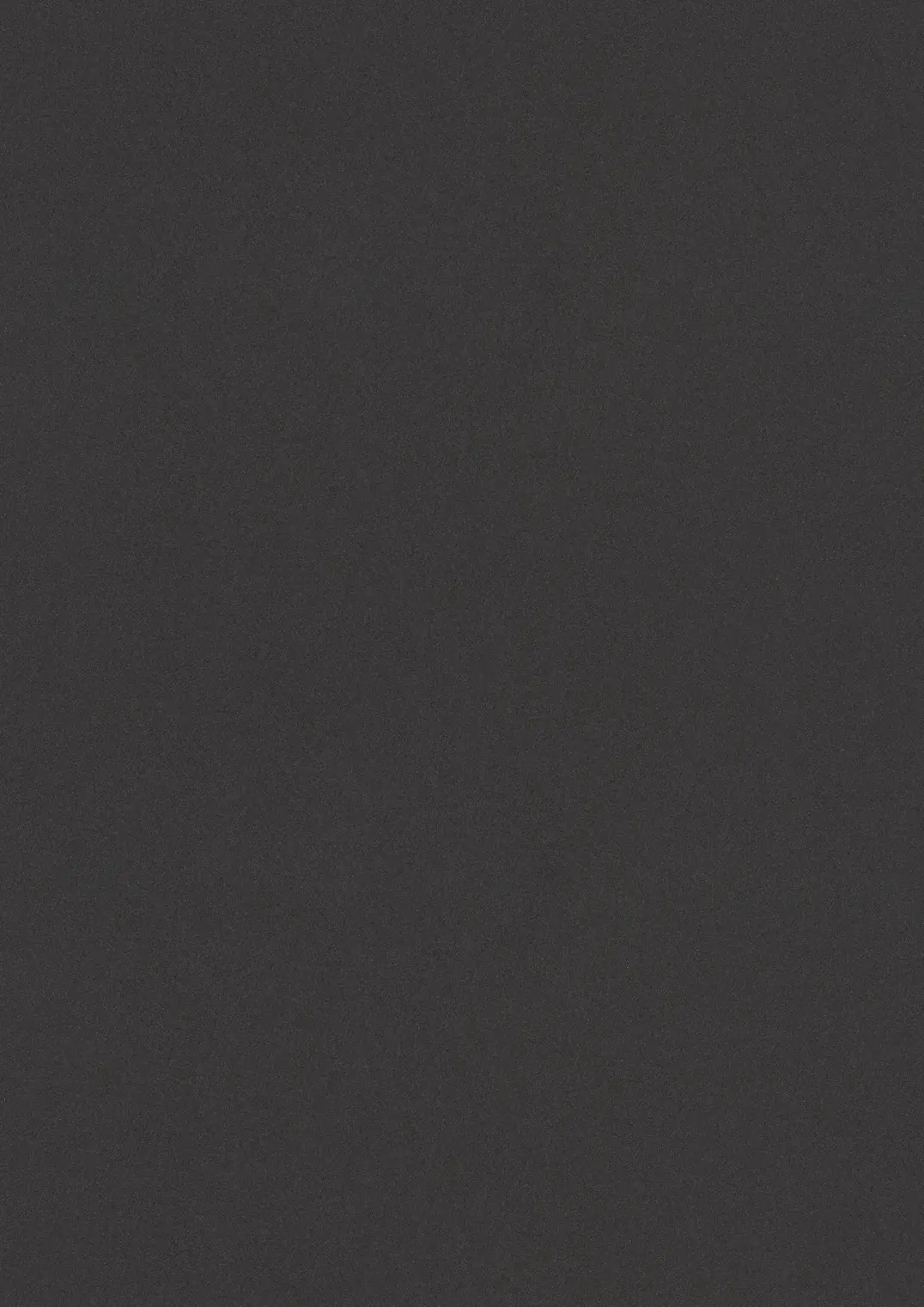 ESTRAD SAFETY R12/45 7753