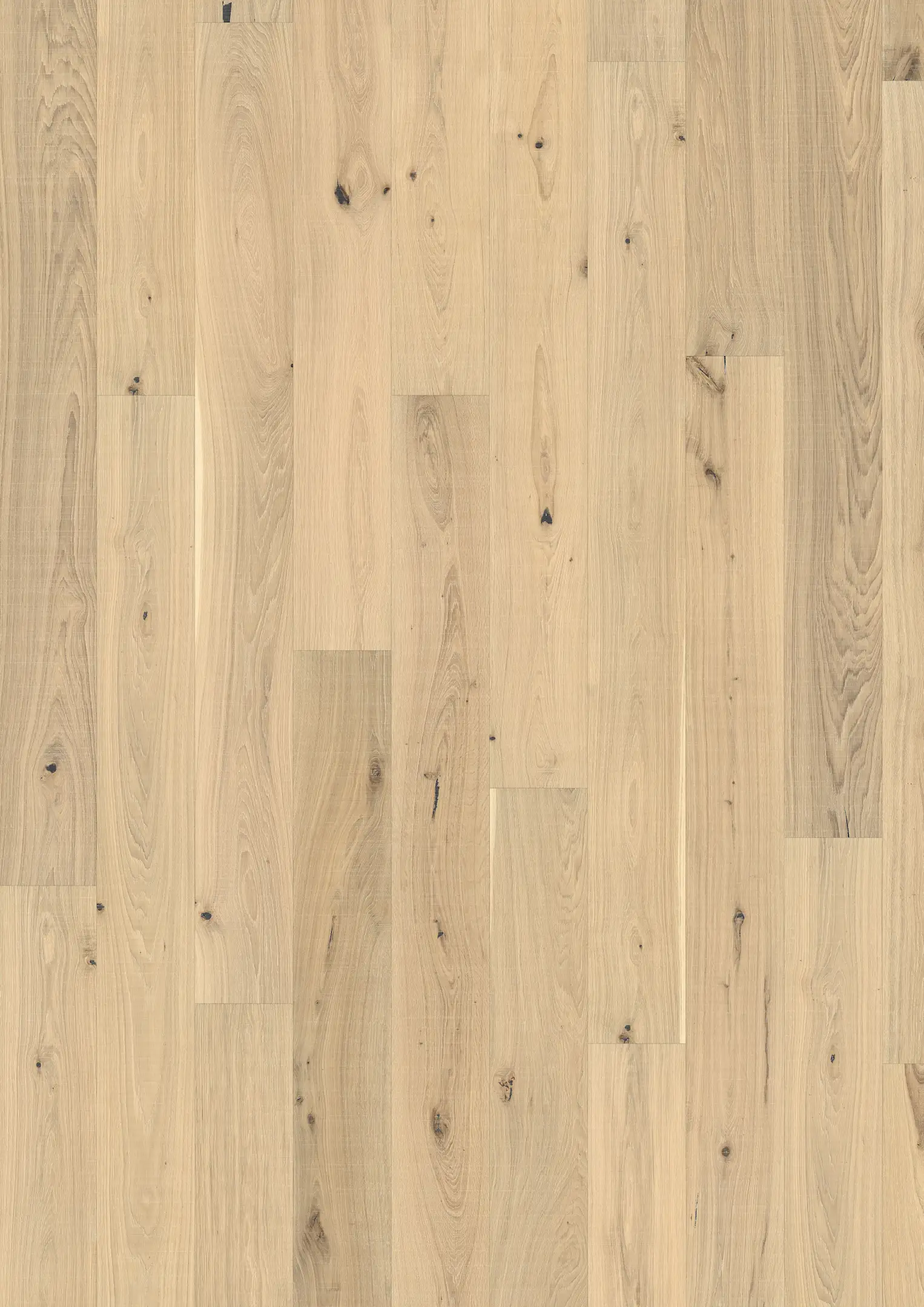 EICHE PIAZZA CD SÄGERAU WEIß Alle Bodenbeläge Kährs