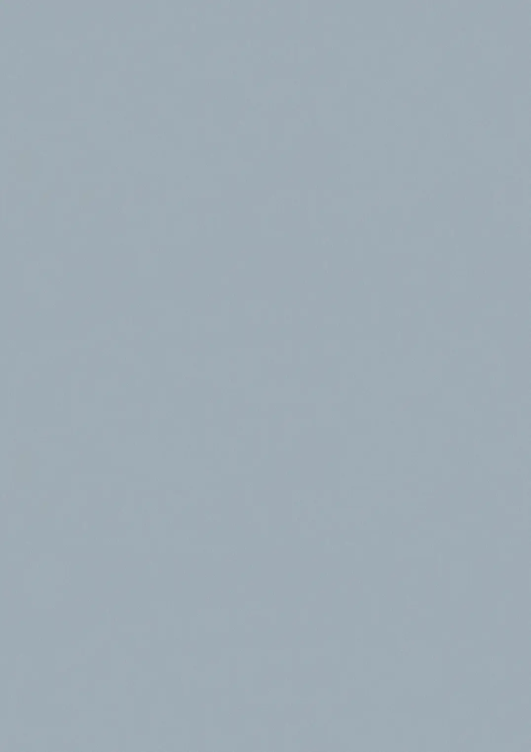 ESTRAD SAFETY R11/50 7747