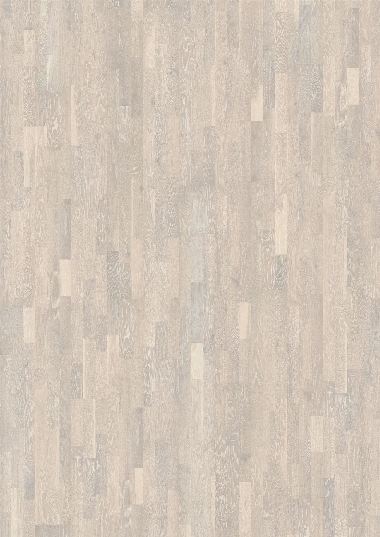 EICHE LIMESTONE Alle Bodenbeläge Kährs