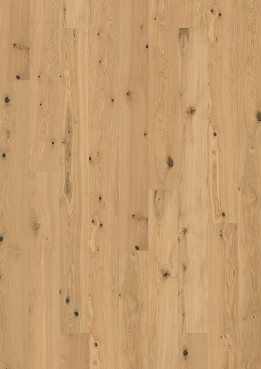 OAK FENNEL PLANK