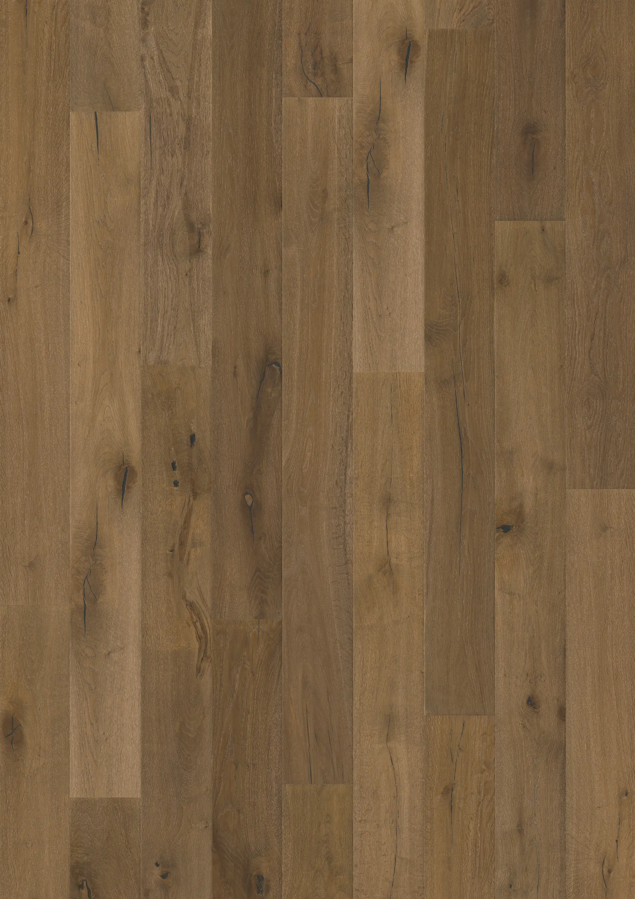 Terrano Prover Kährs