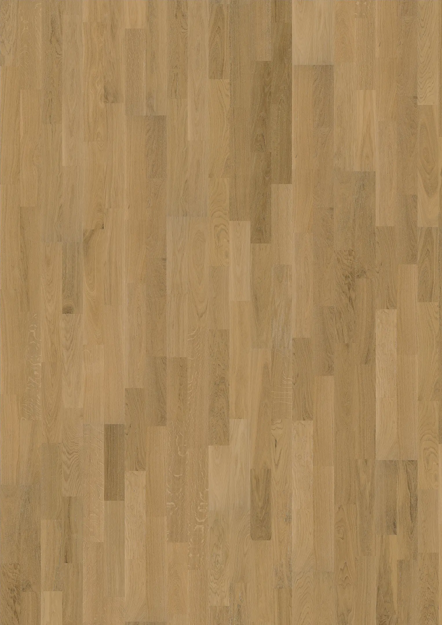 OAK VERONA ULTRA MATT Samples Kährs