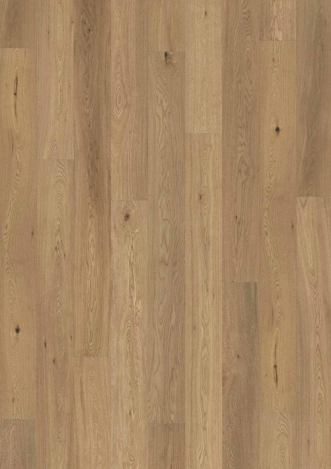 OAK 1-STRIP
