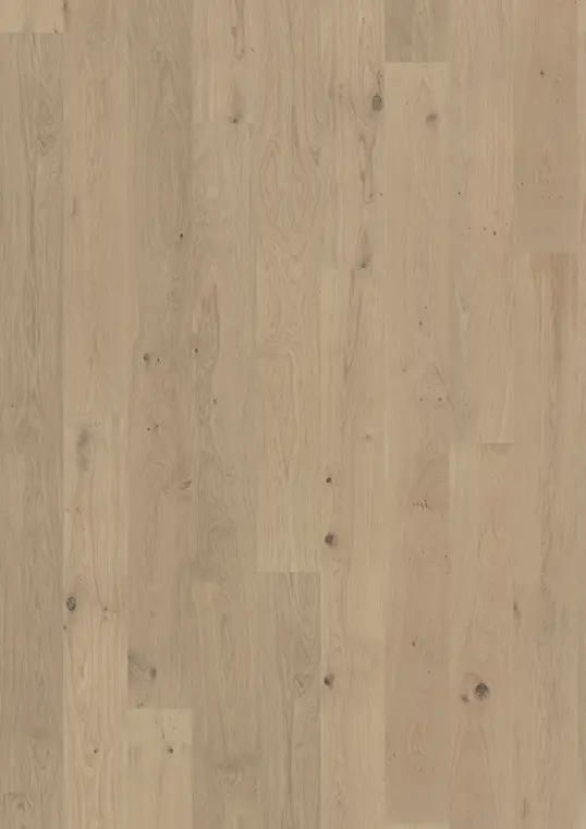 OAK BRIGHTON