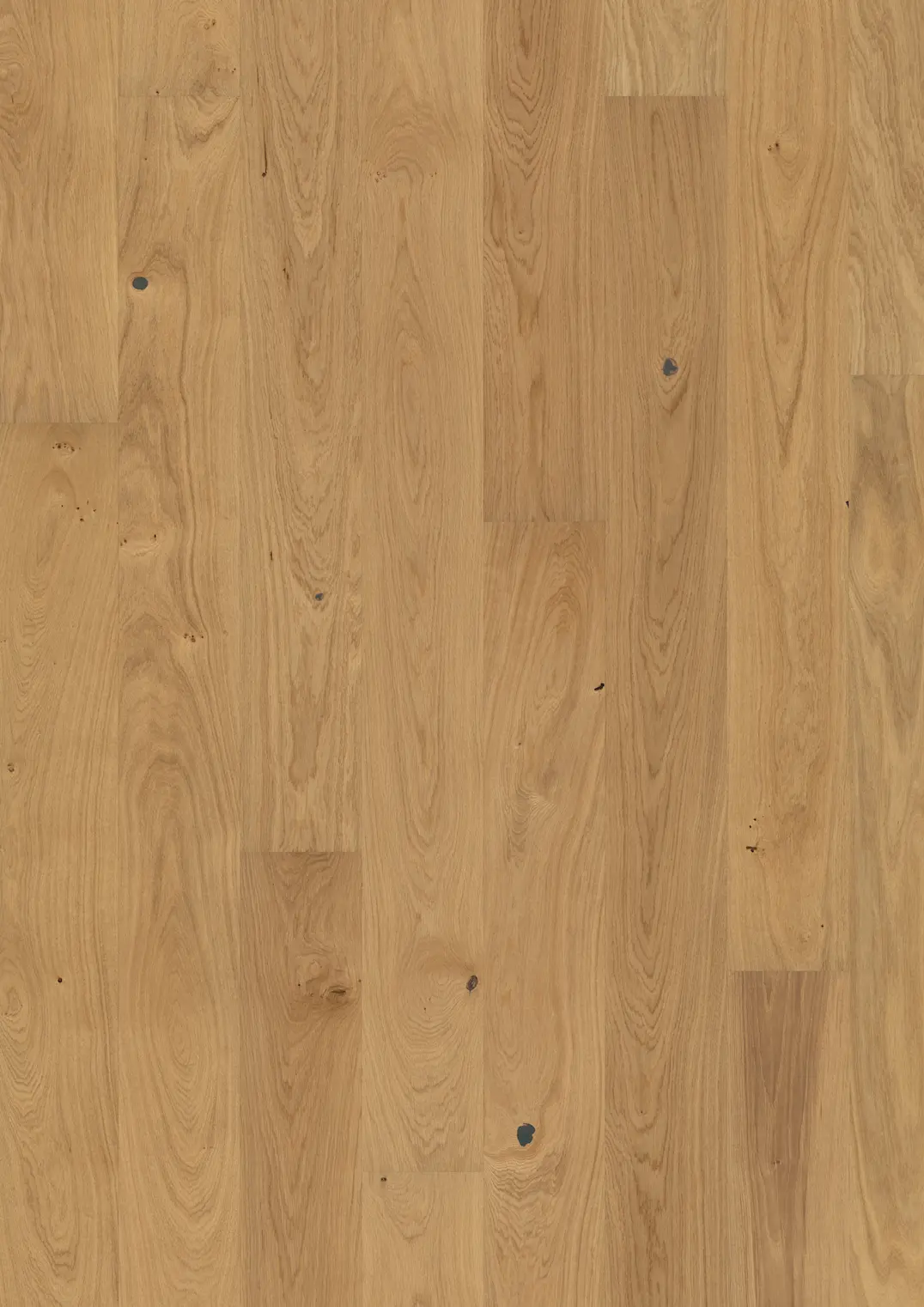 OAK DAHLIA OILED