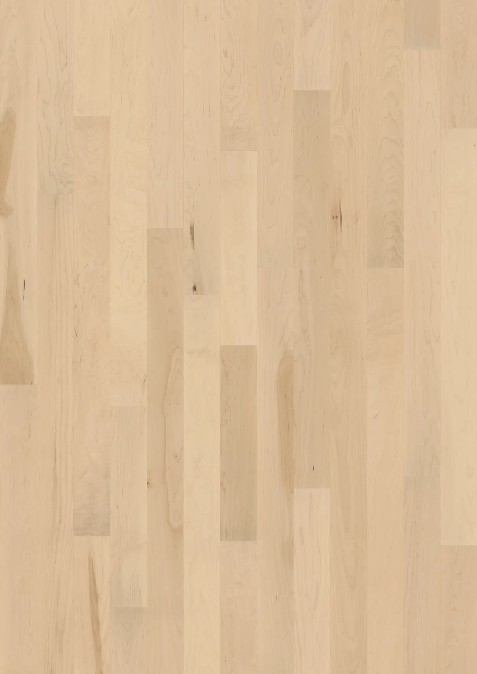 HARD MAPLE OHEKA MATTE Floors Kährs