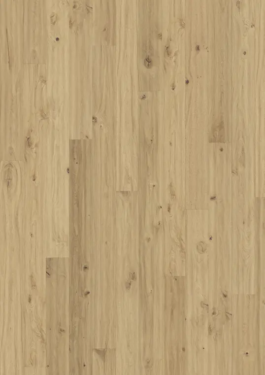 OAK KLINTA