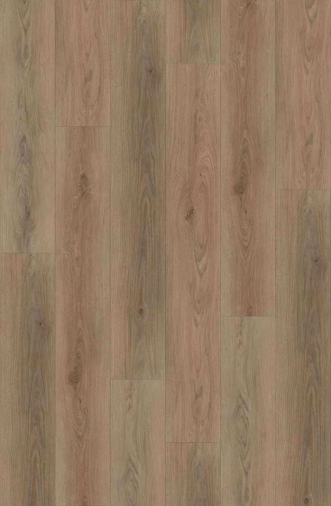 SYLVAN CLICK PLANK