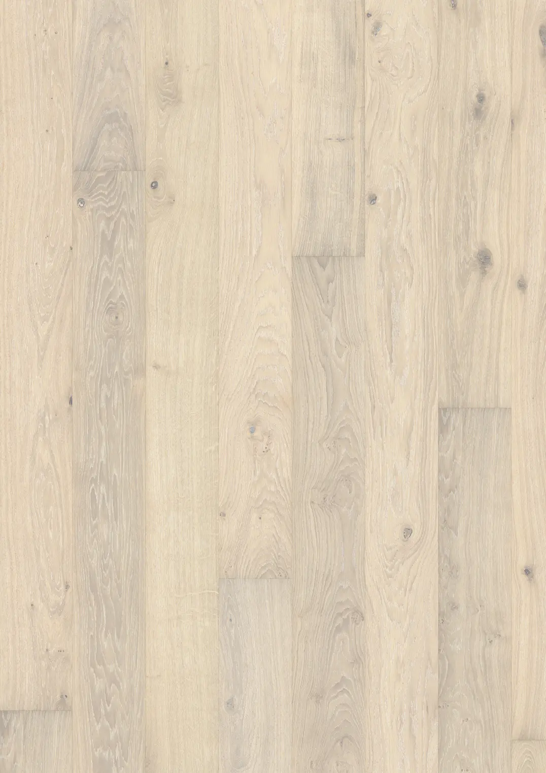 Oak Nouveau Blonde