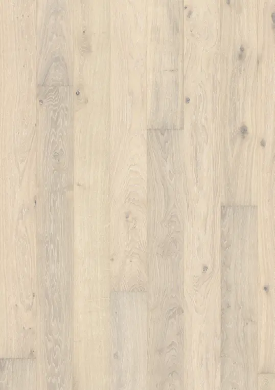 OAK NOUVEAU BLONDE