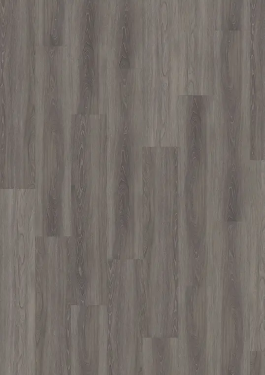 WENTWOOD - DRY BACK