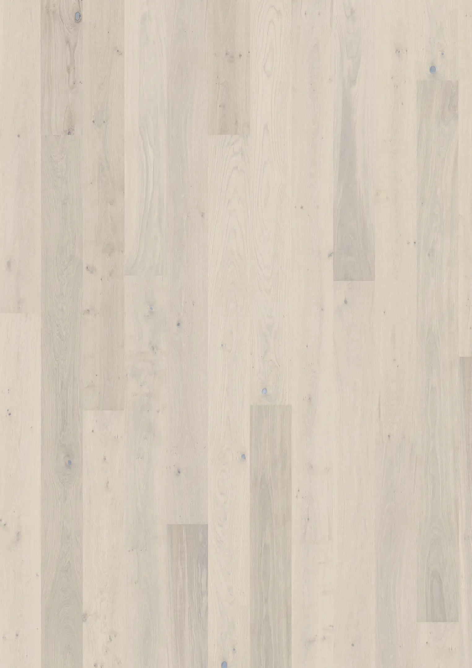 OAK SKY Samples Kährs