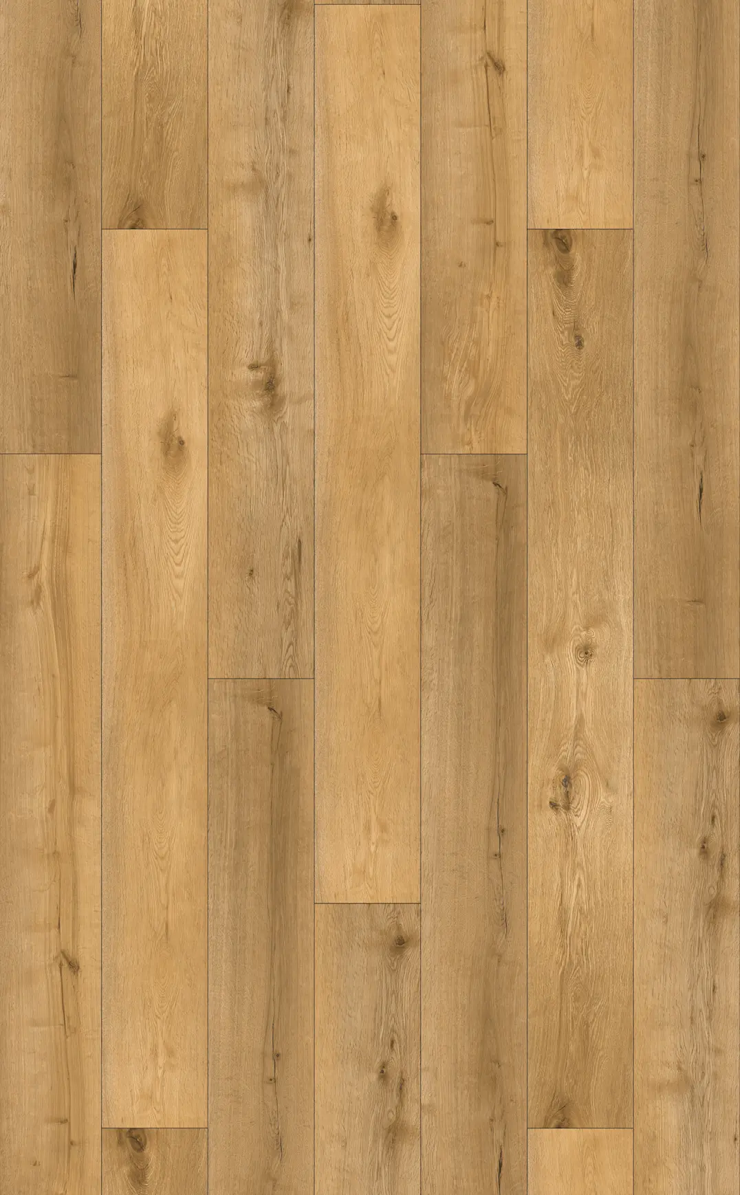 RADIANCE CLICK PLANK