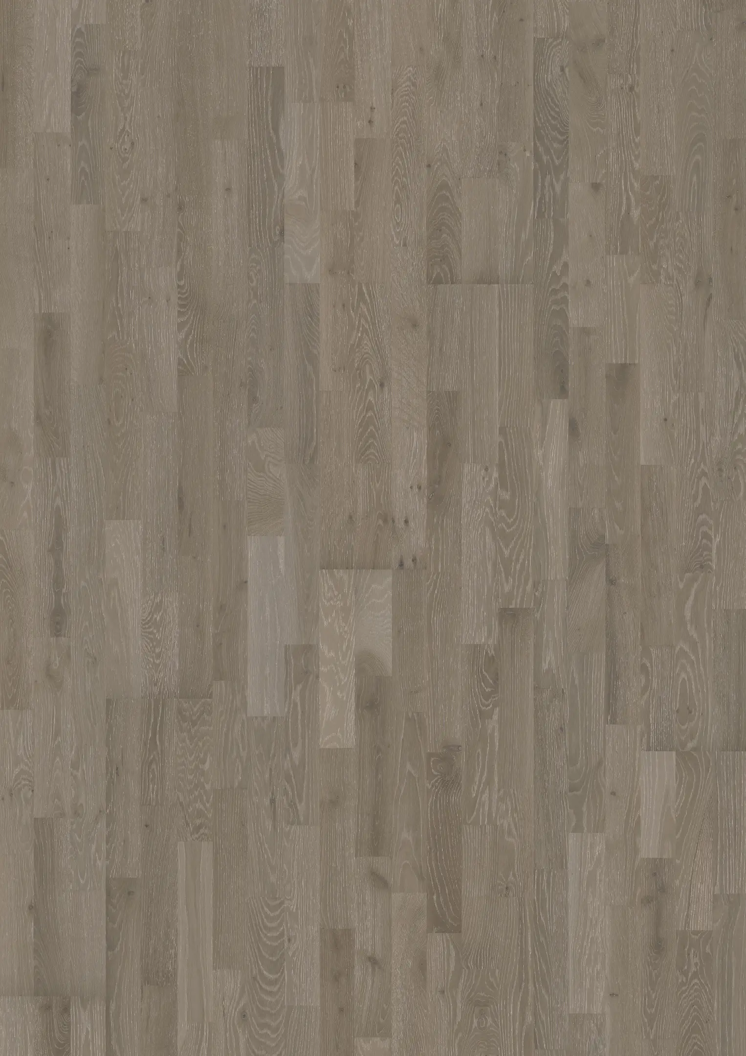 EICHE ALLOY Alle Bodenbeläge Kährs