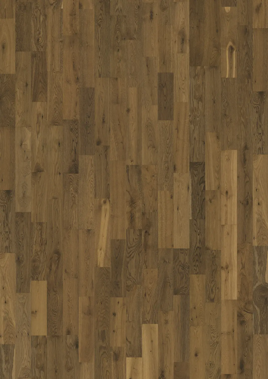 OAK GLOW