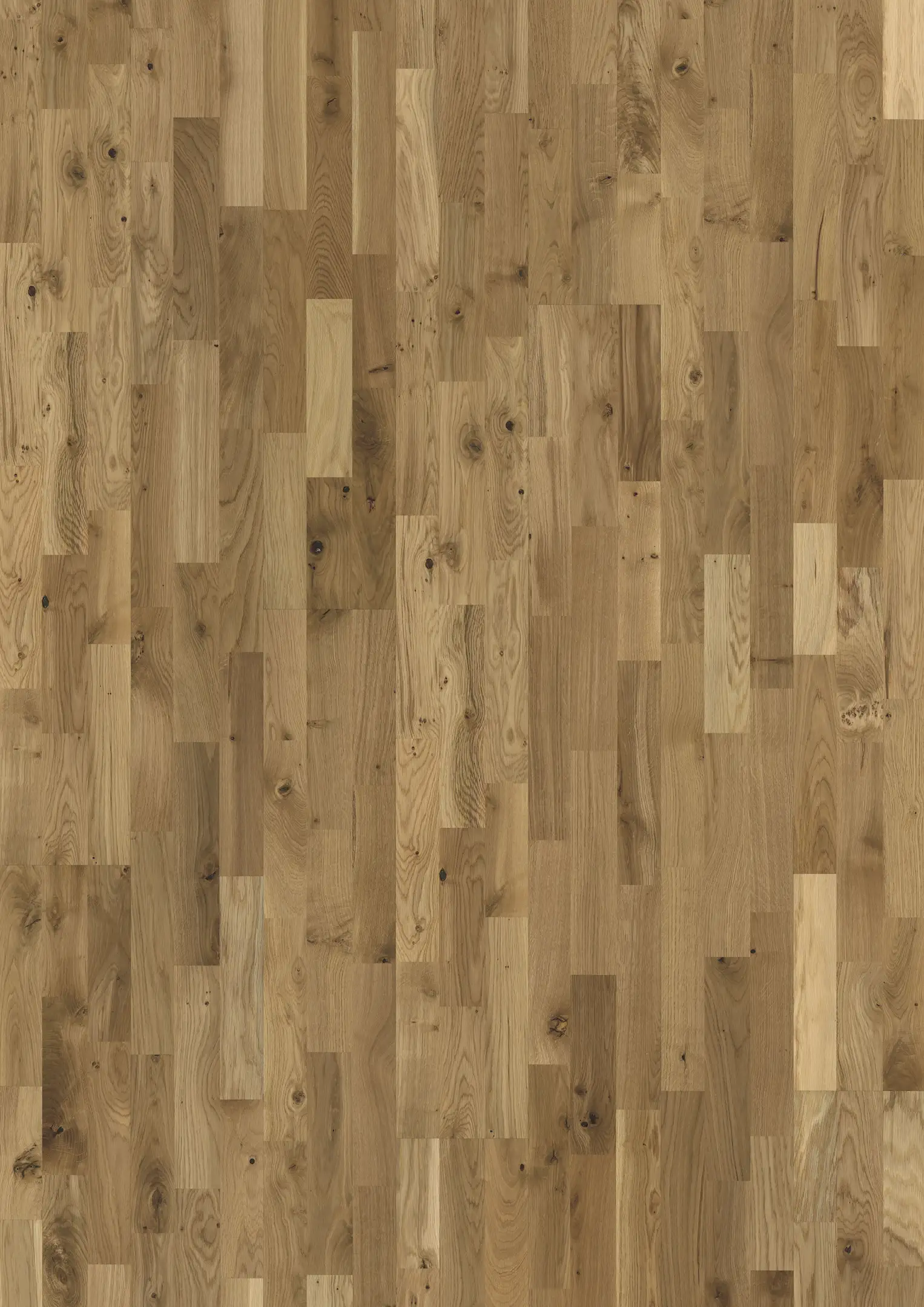 OAK ERVE MATT Samples Kährs