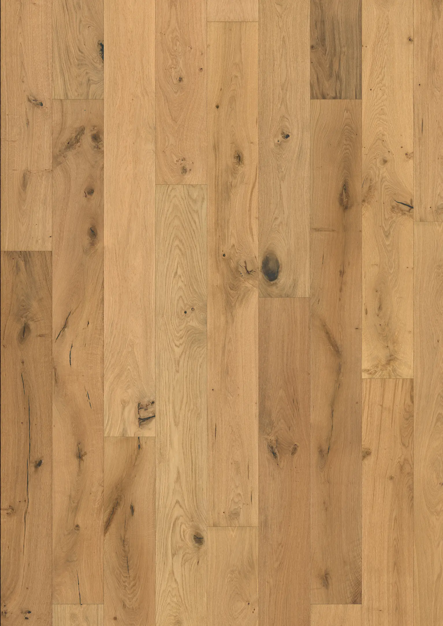 OAK LYNX NATURÖL