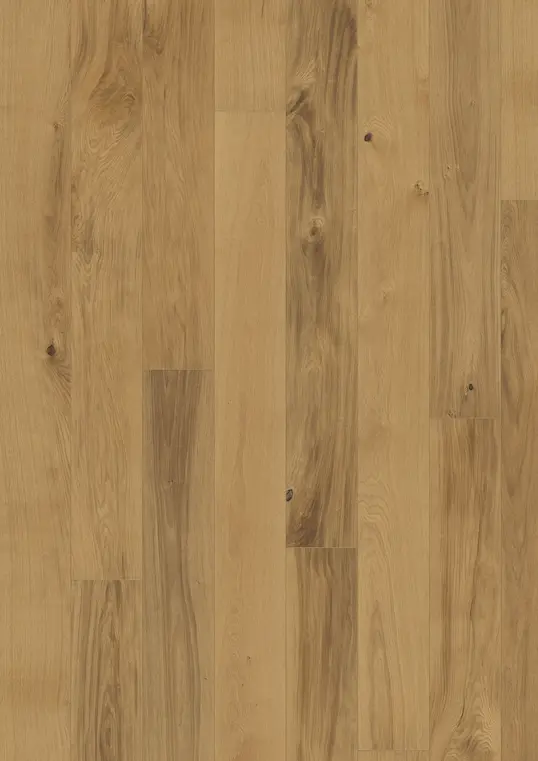 OAK BURGUNDY