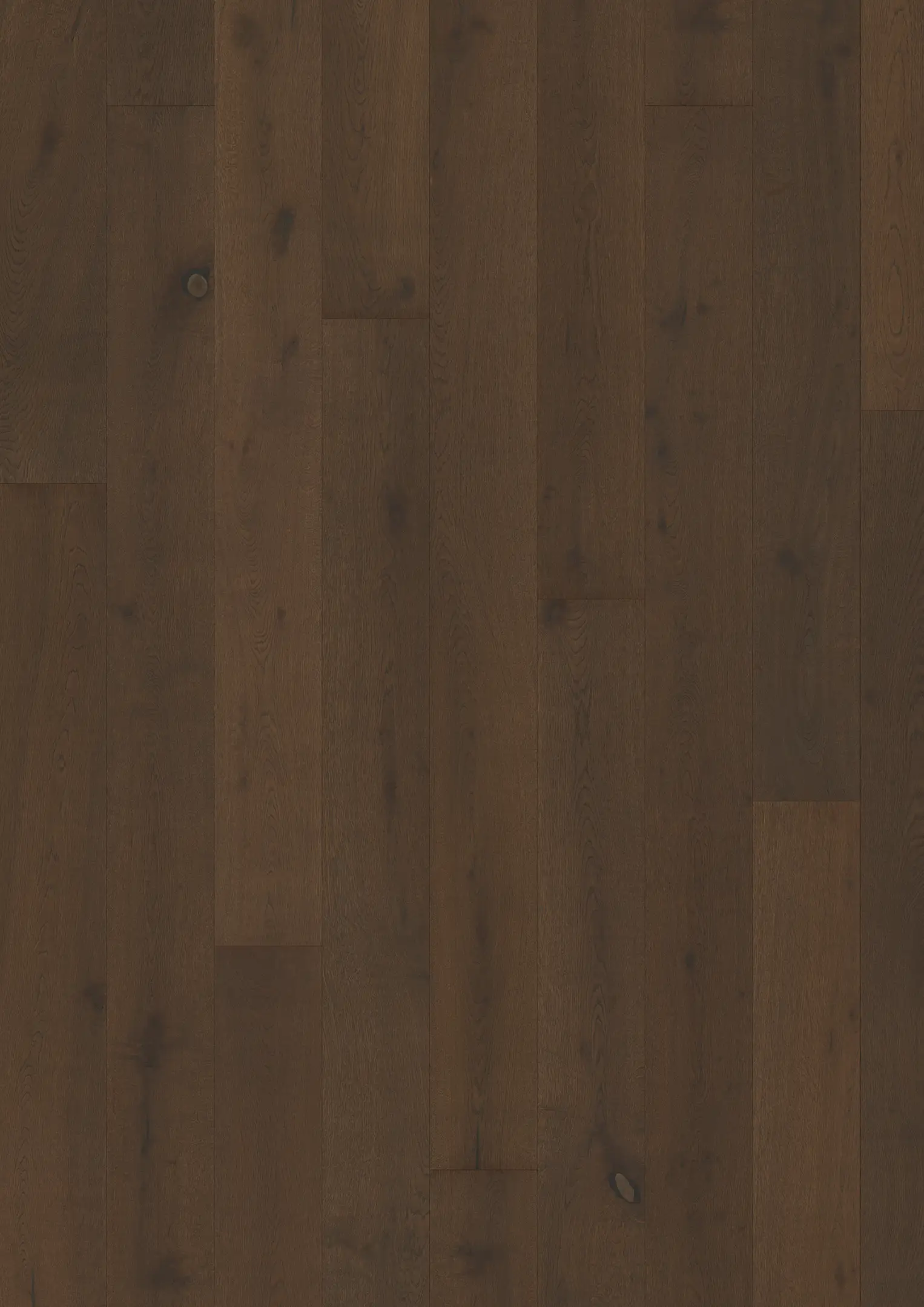 OAK URSUS Samples Kährs