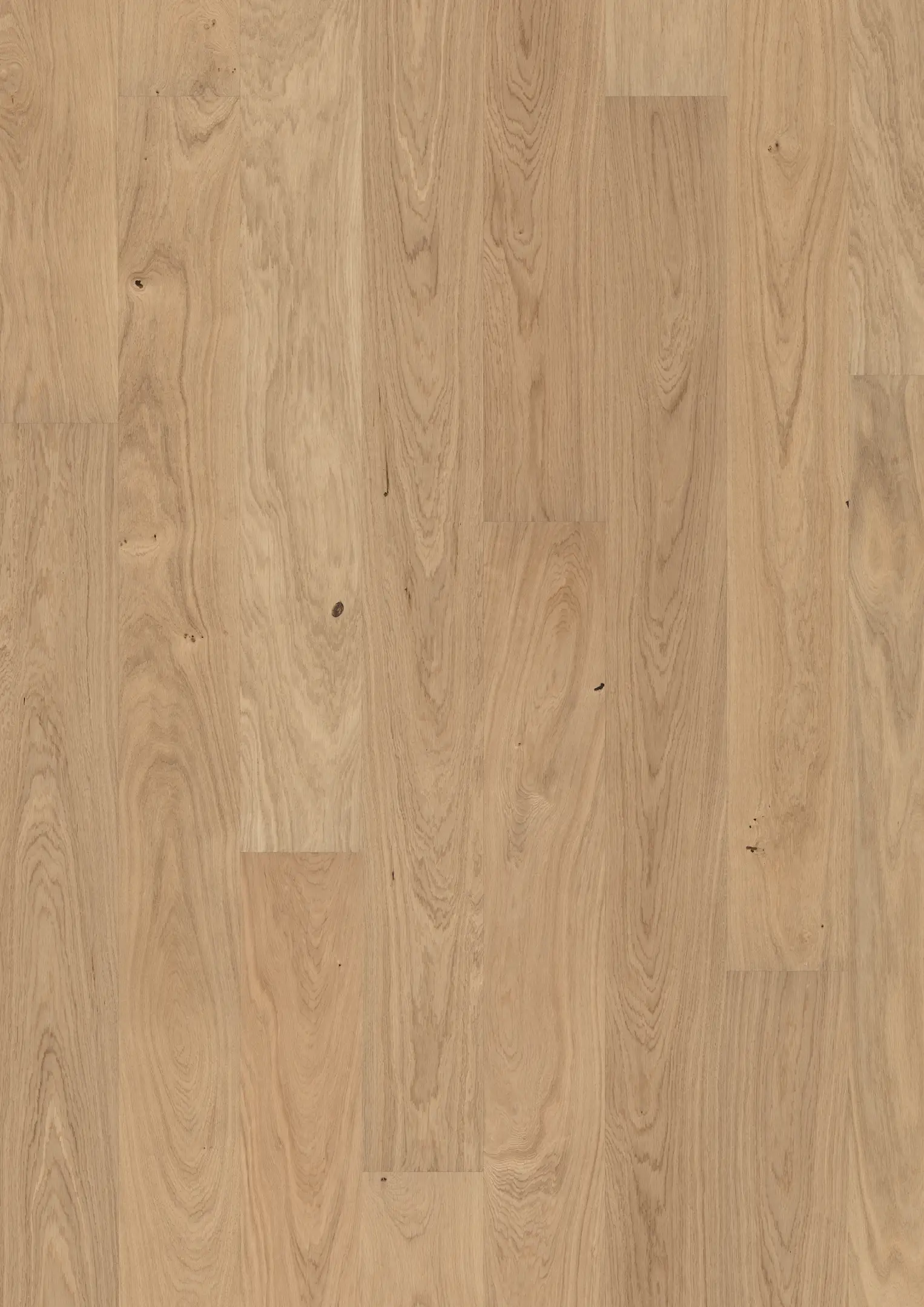 OAK ANEMONE Samples Kährs