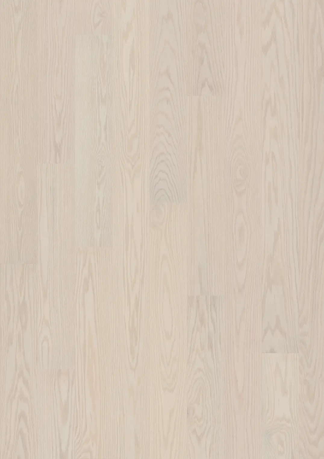 RED OAK SWAN MATTE