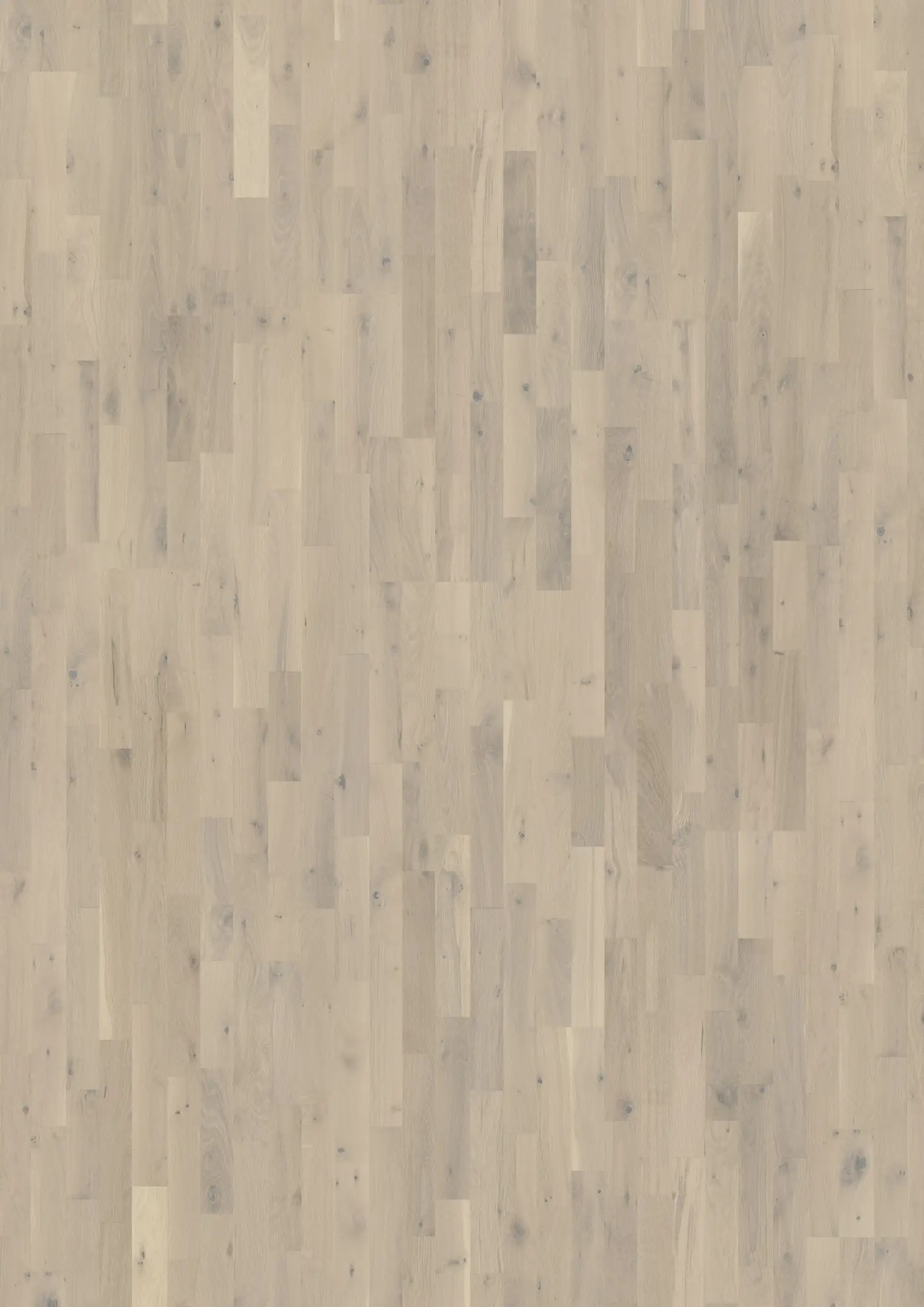 EICHE LOFT WHITE Alle Bodenbeläge Kährs