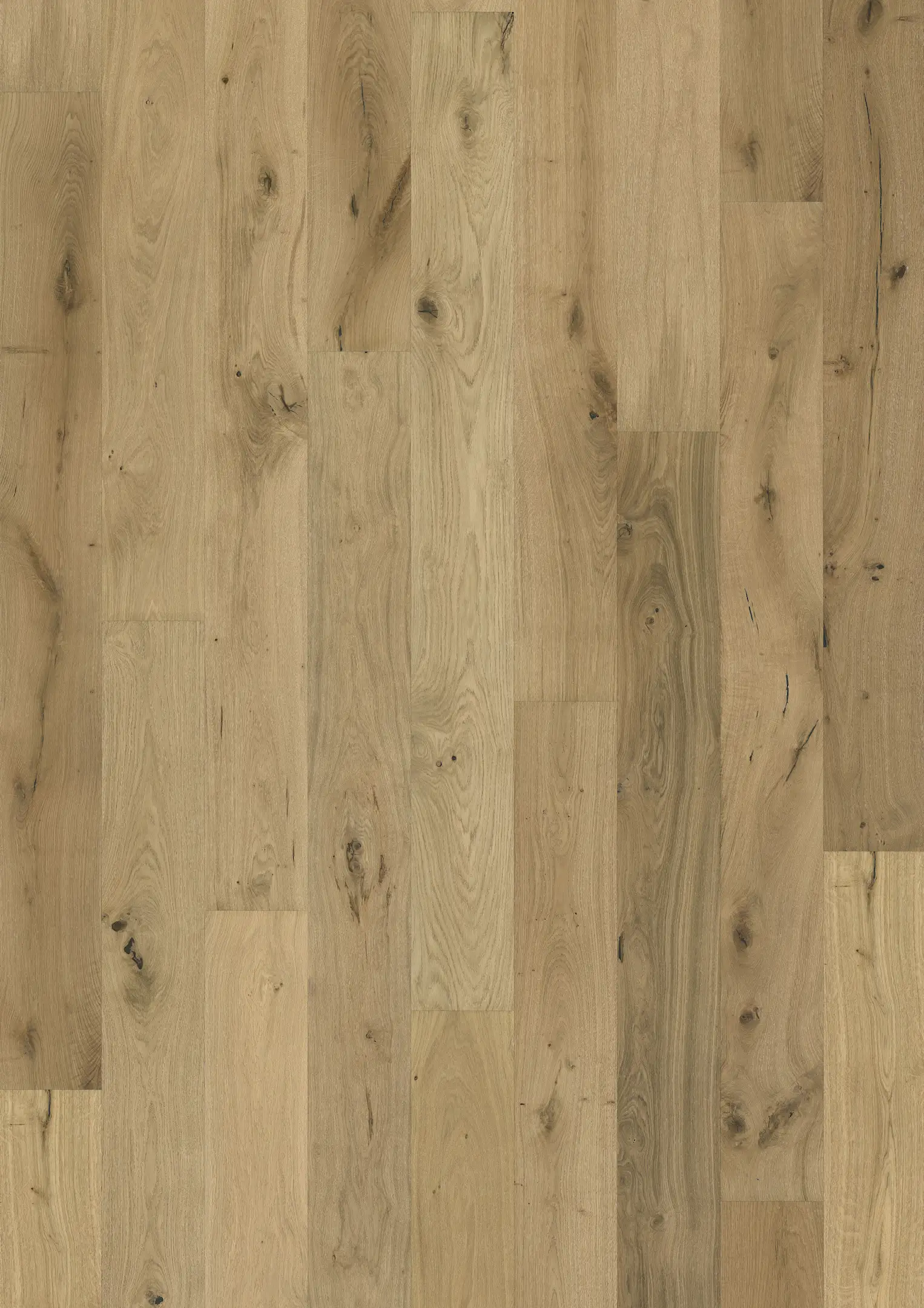 OAK GRANO OILED Samples Kährs