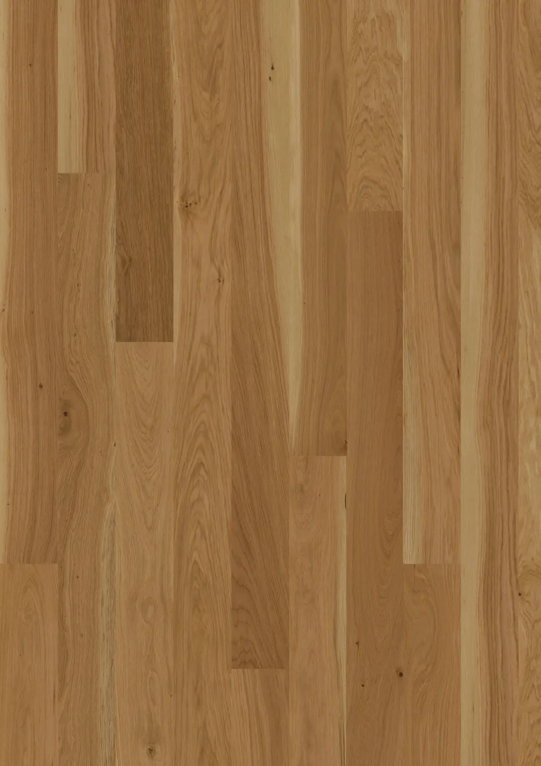 OAK ECRU