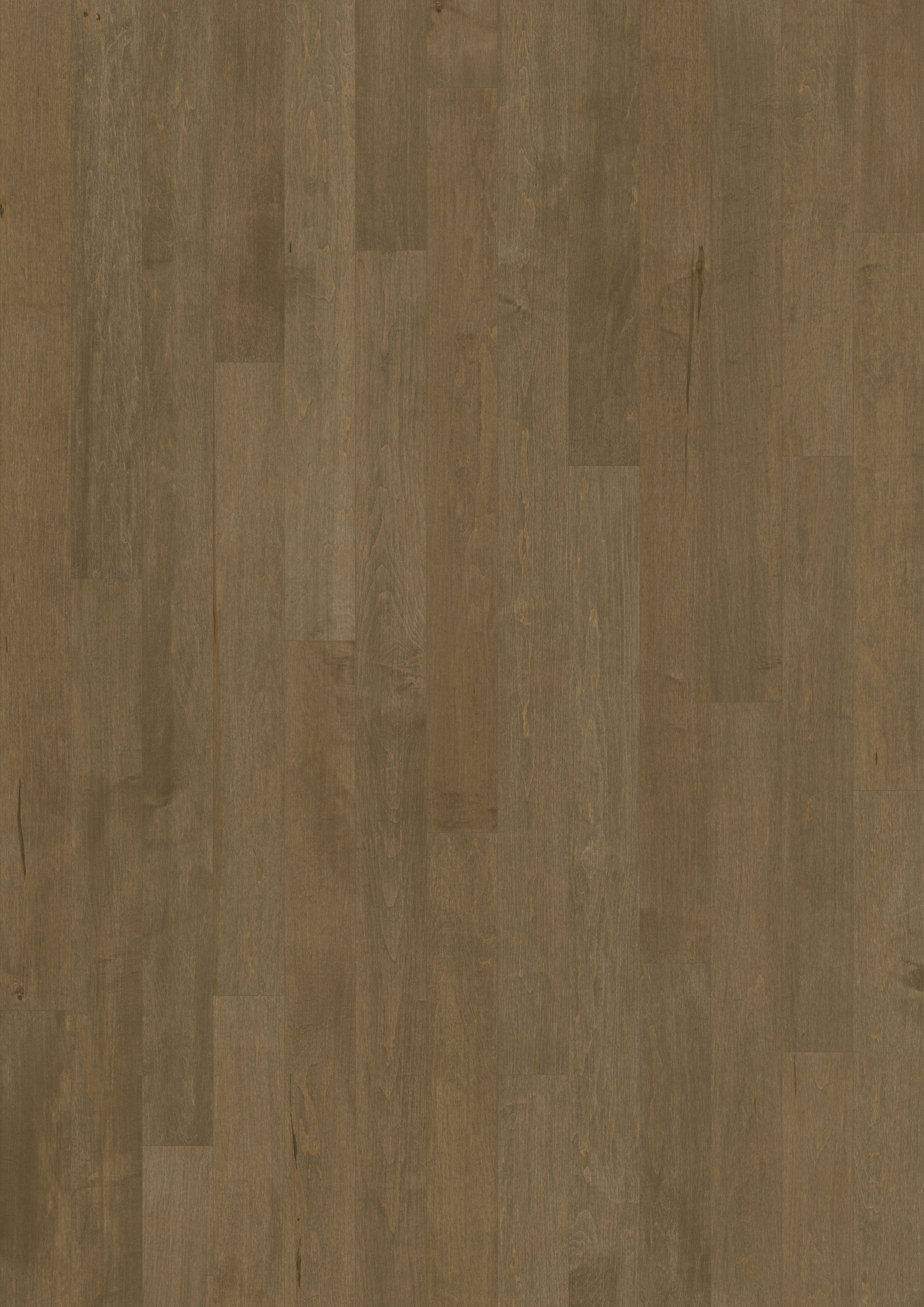 min-mapleページ 6150e4ba-09ab-4a5d-8639-