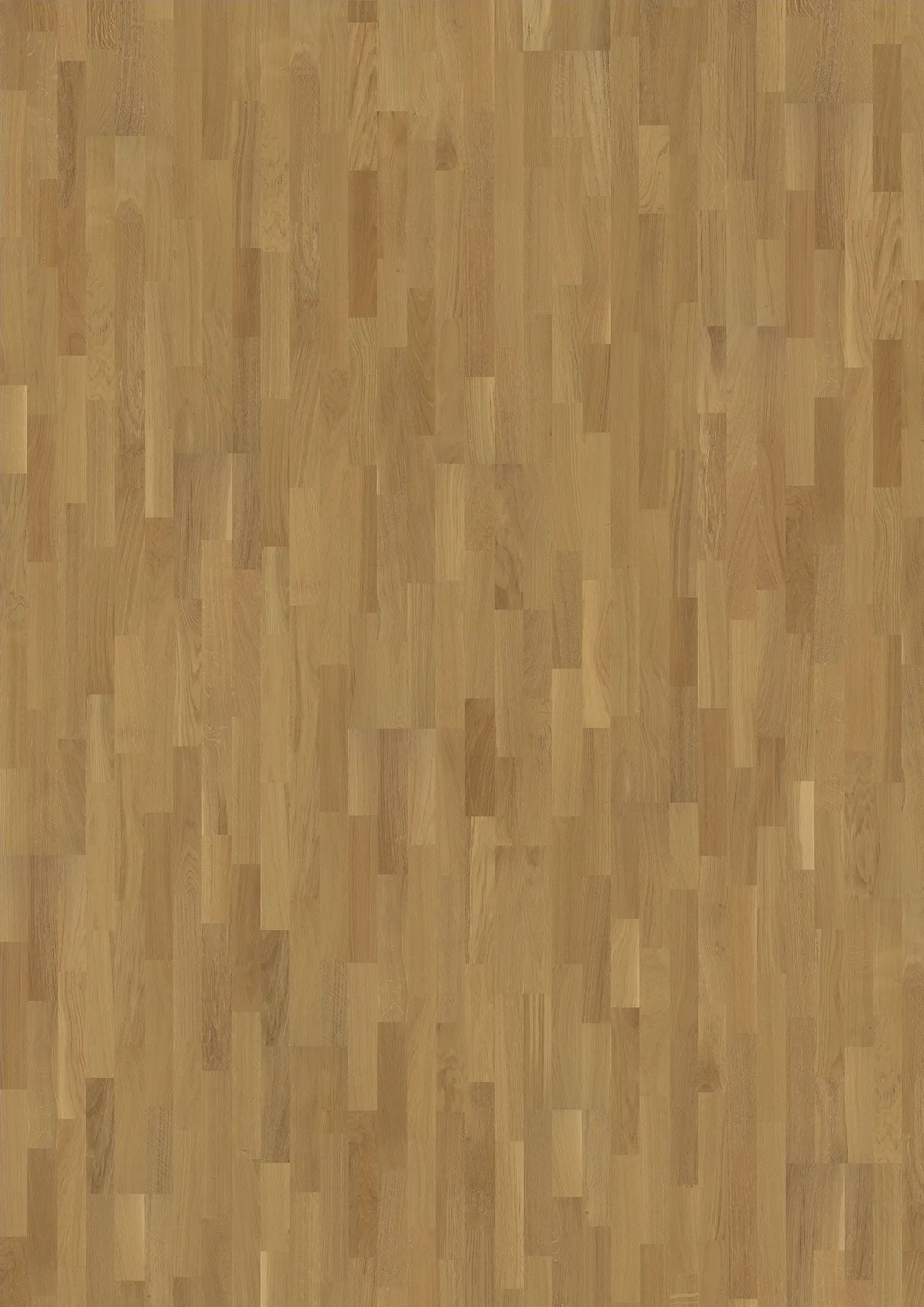 OAK ELITE PRO MATT Samples Kährs