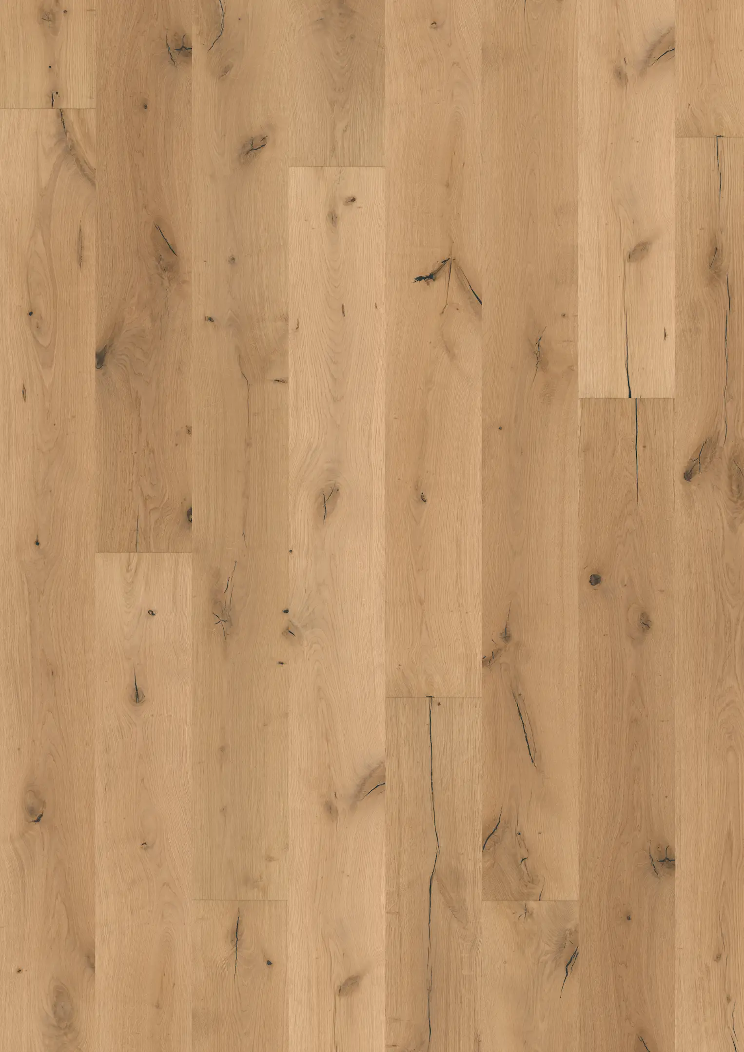 EICHE BOREAS Näytteet Kährs