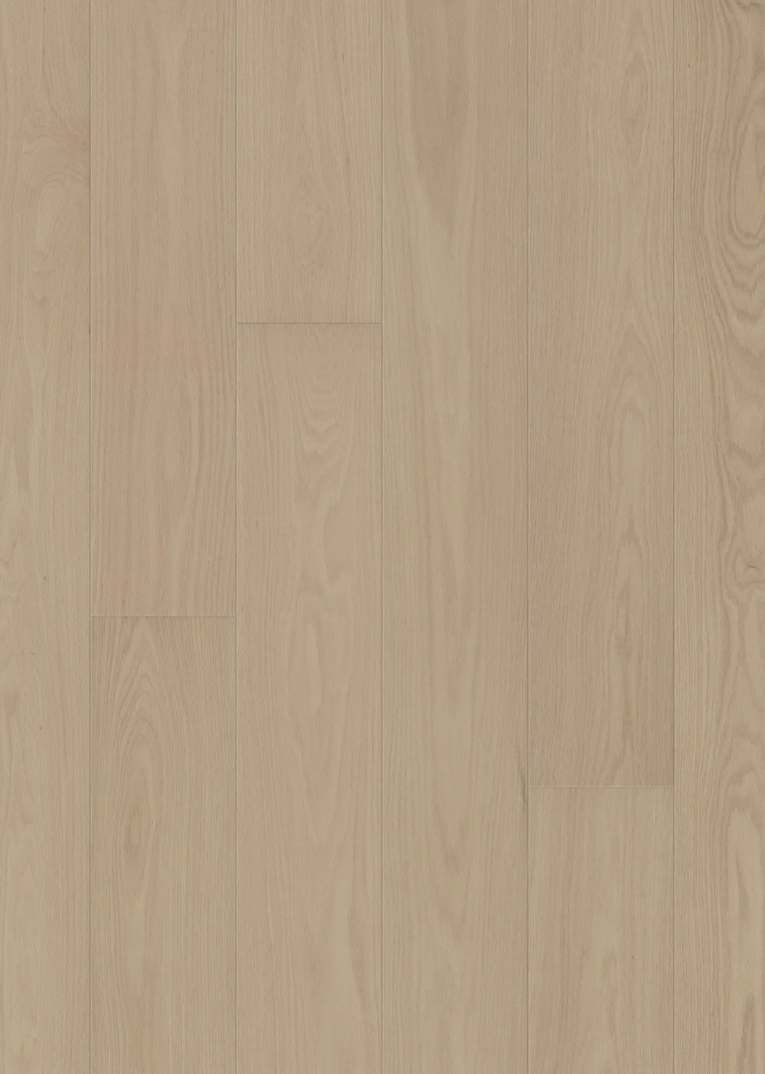 RED OAK BELMONT
 Floors Kährs
