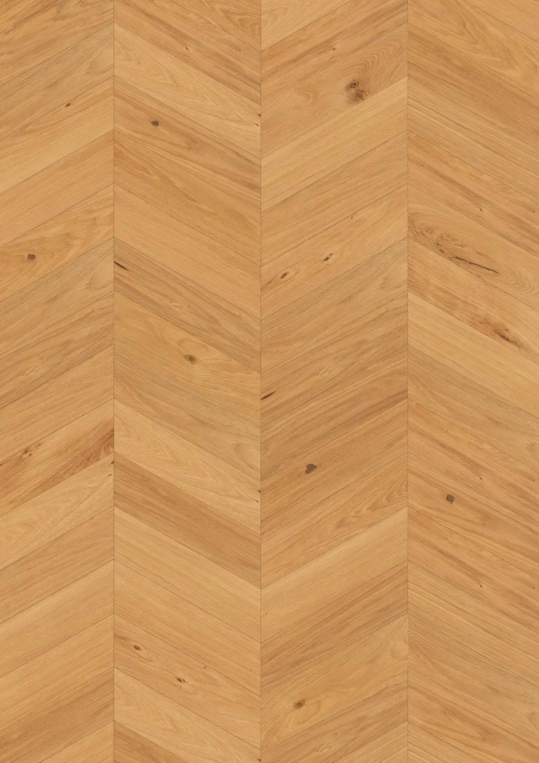 OAK CHEVRON CD OILED