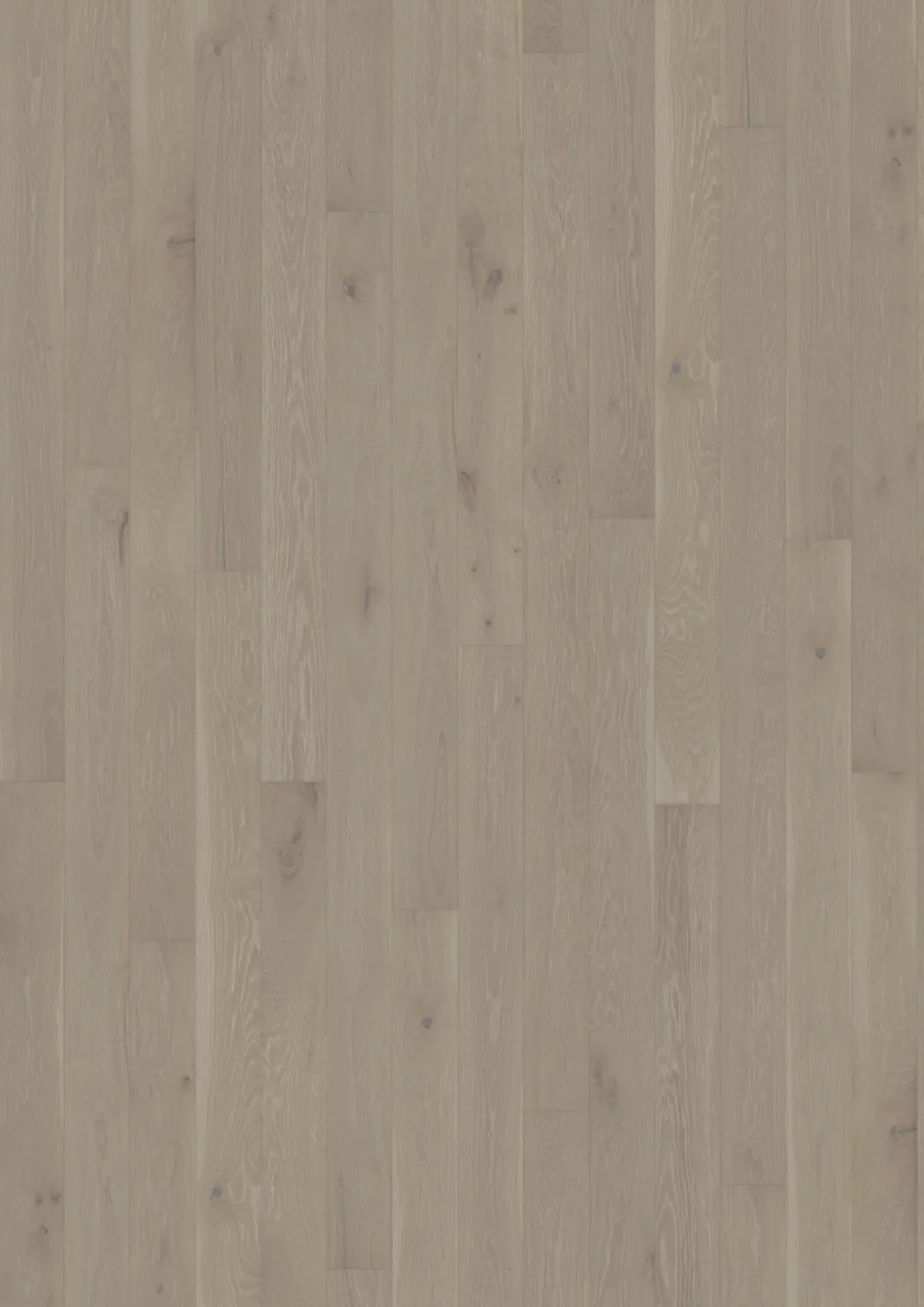 OAK CINDER