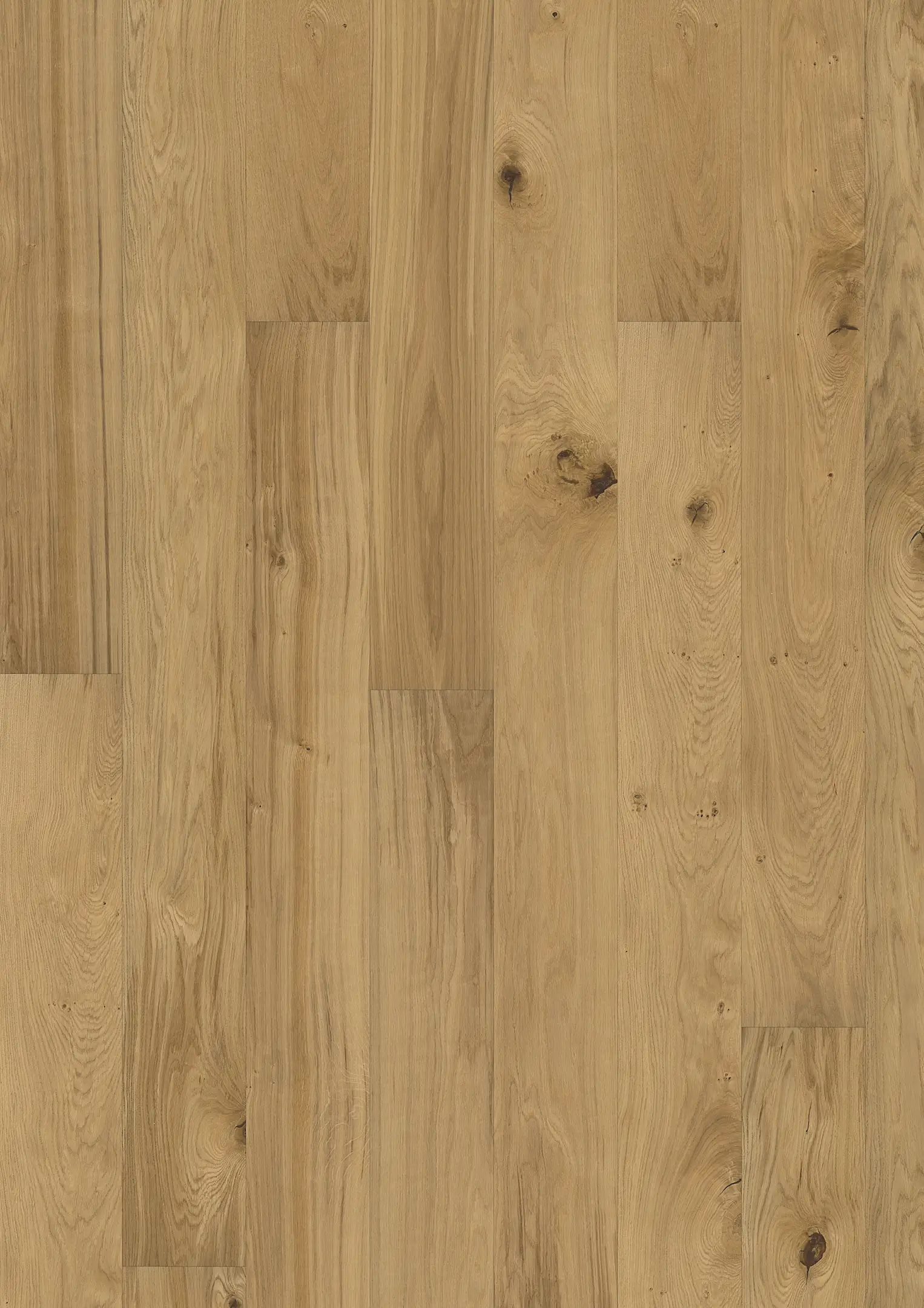 TAMMI COSENZA Lattiat Kährs