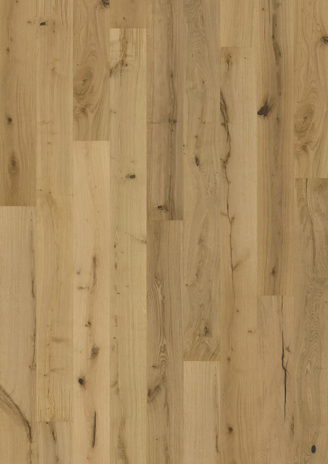 EICHE TEXTURE NATUR