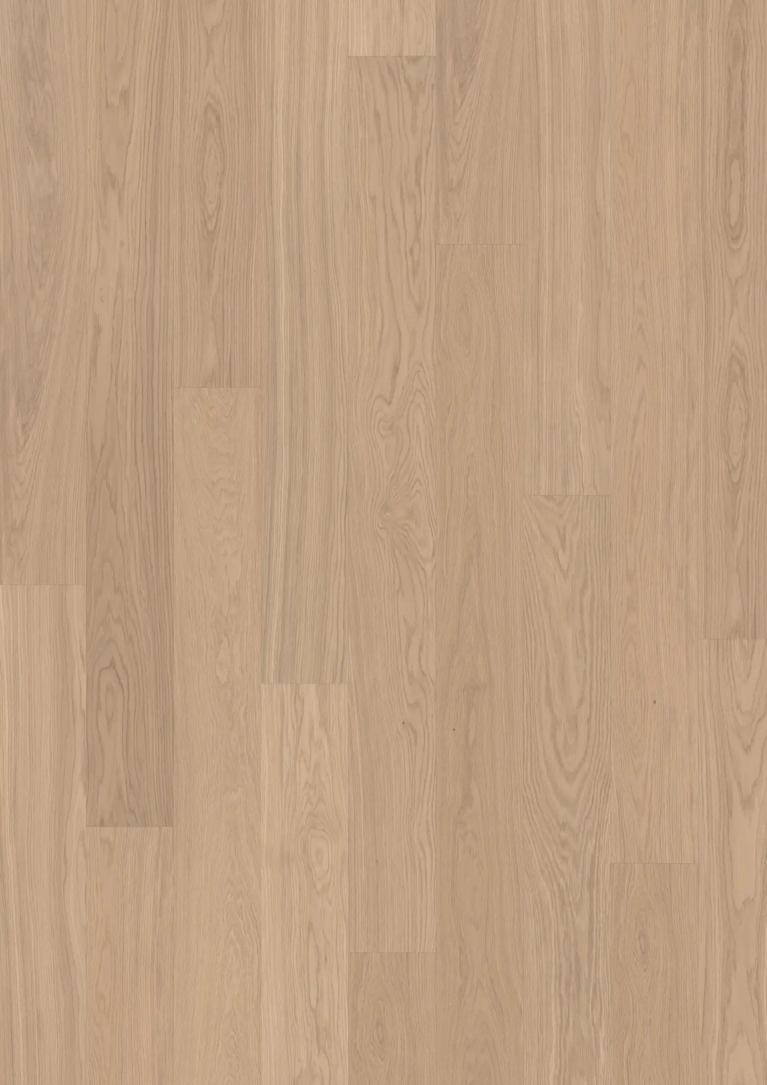 OAK GINGER PLANK Samples Kährs