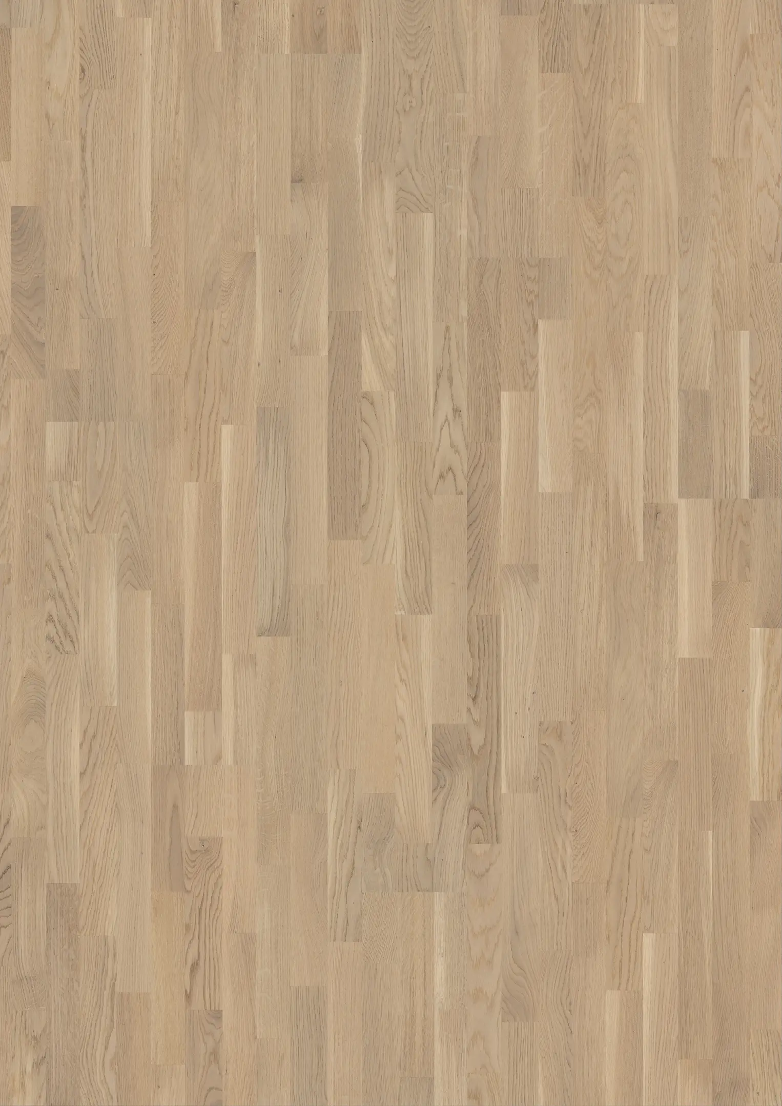 OAK VANILLA Samples Kährs