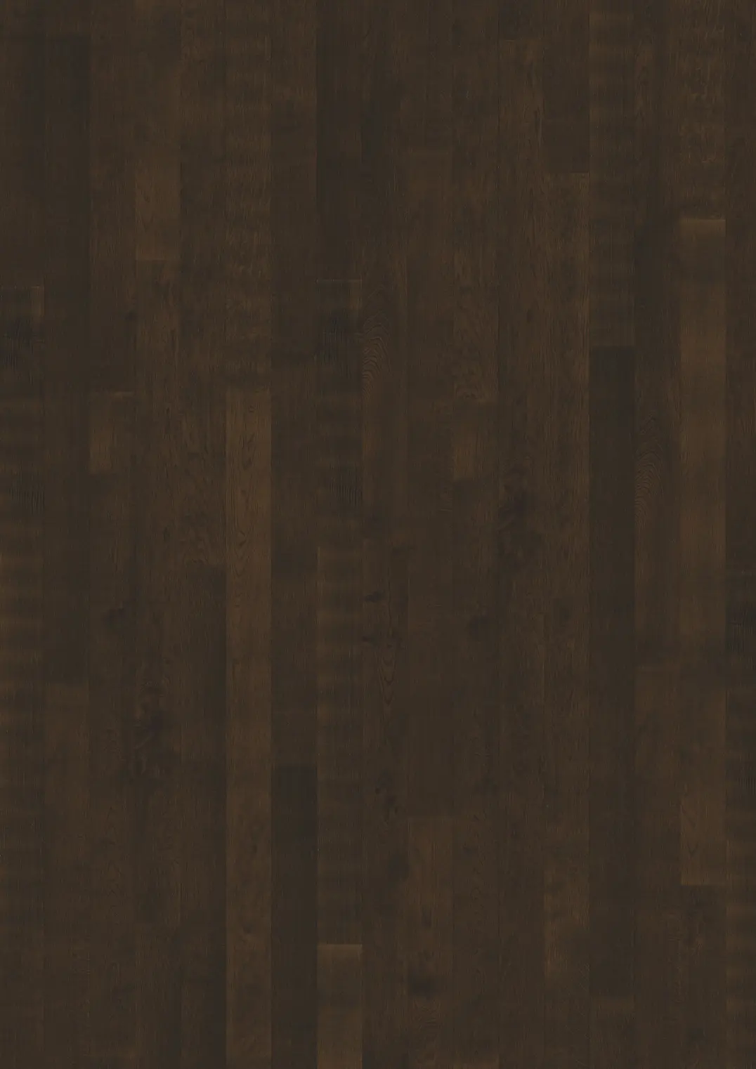 OAK CURIO MATTE