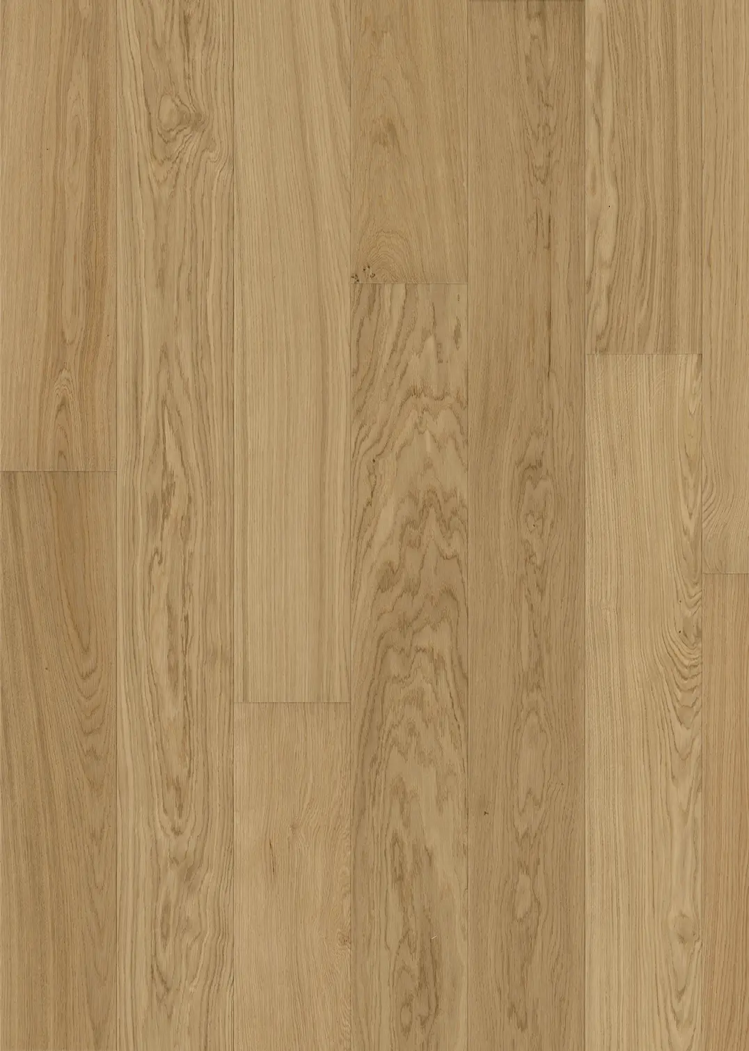 OAK TAPA WIDE MATTE